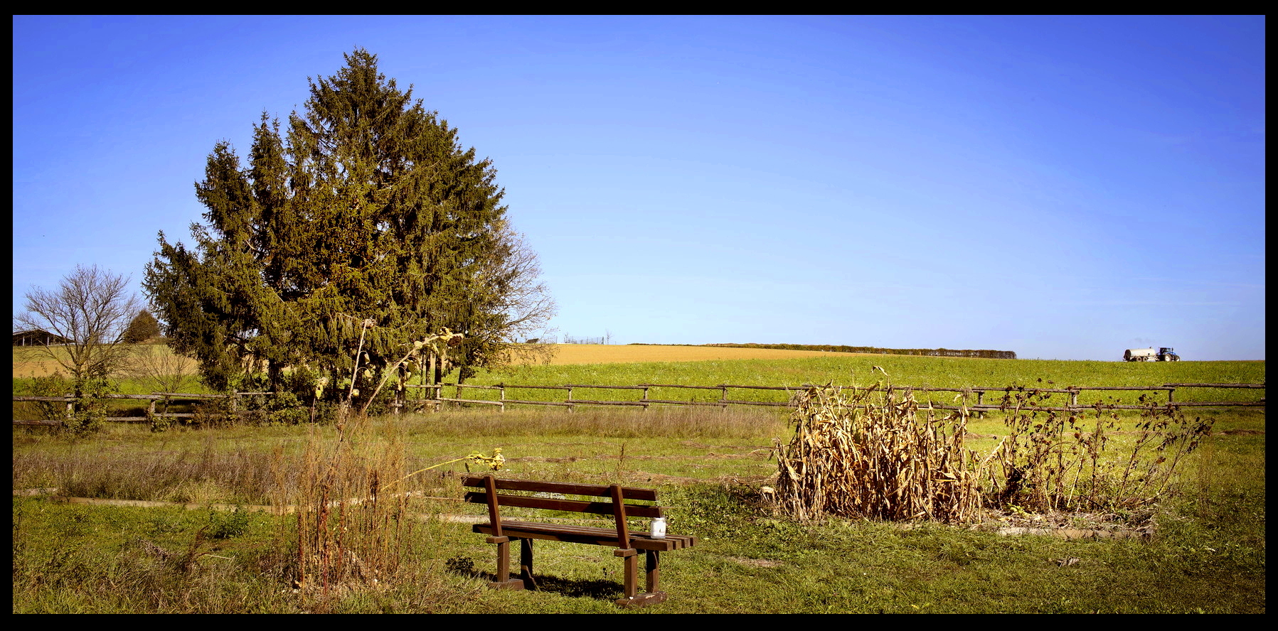 autumn_fields.jpg