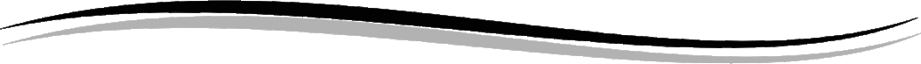 simple black wave text divider.png