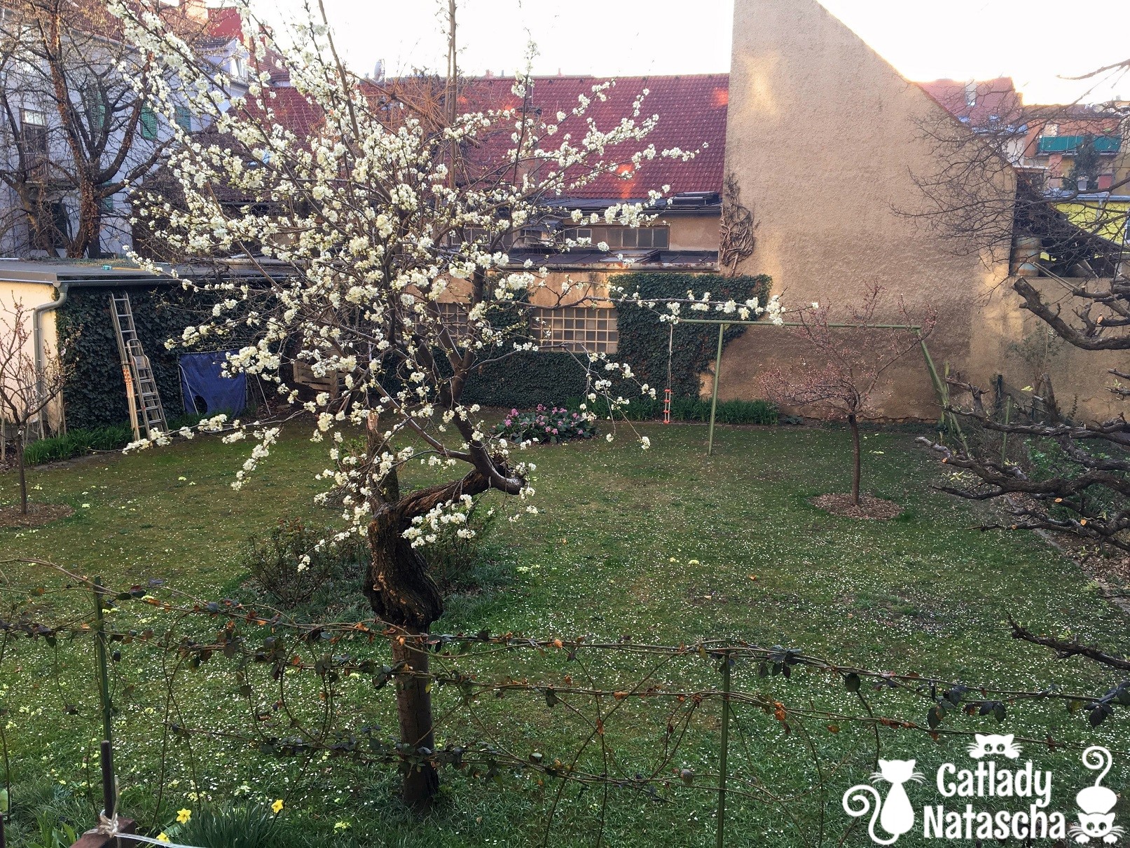 03 29 2019 527pm.jpg