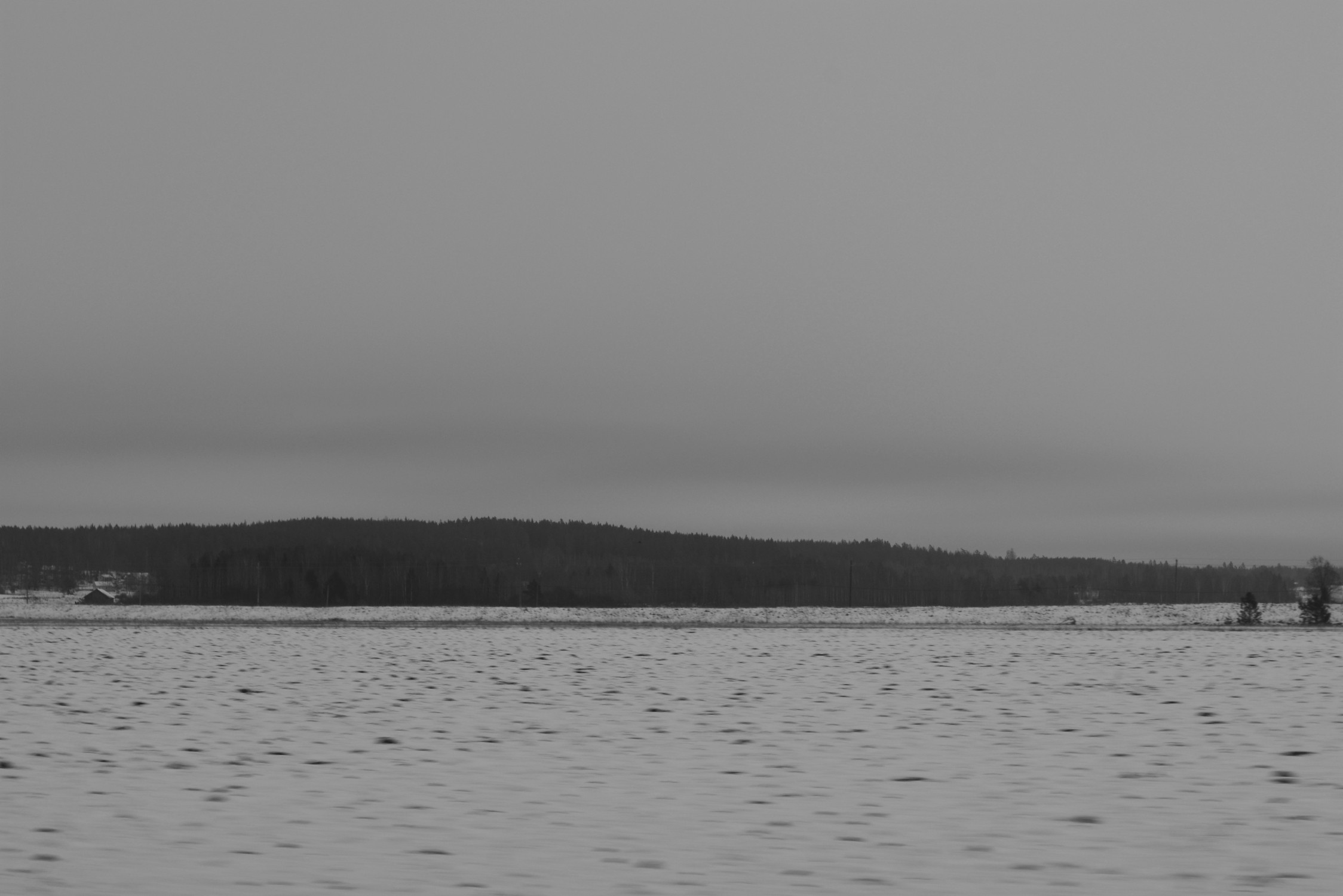 DSC_6401.jpg