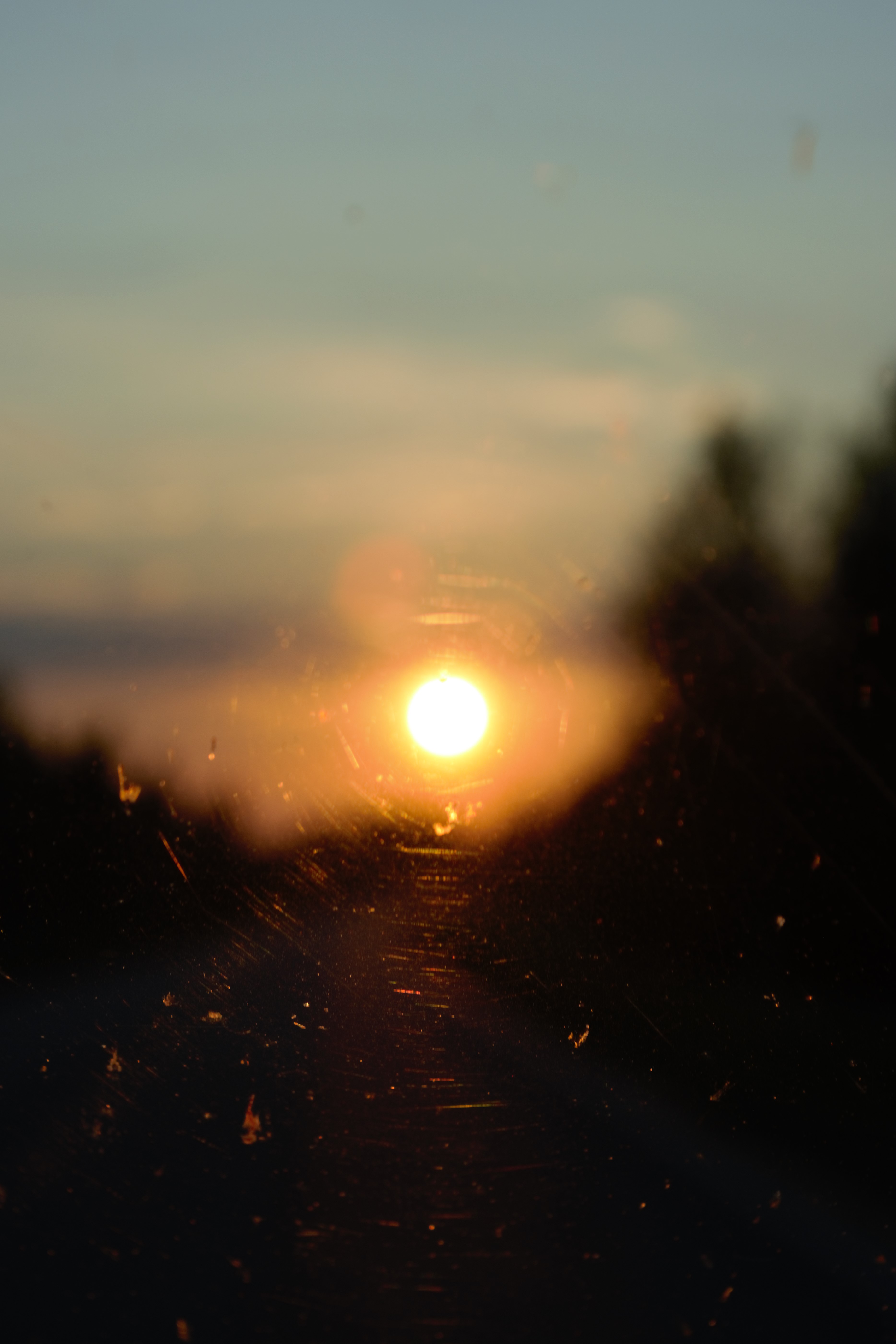 DSC_1150 2.jpg