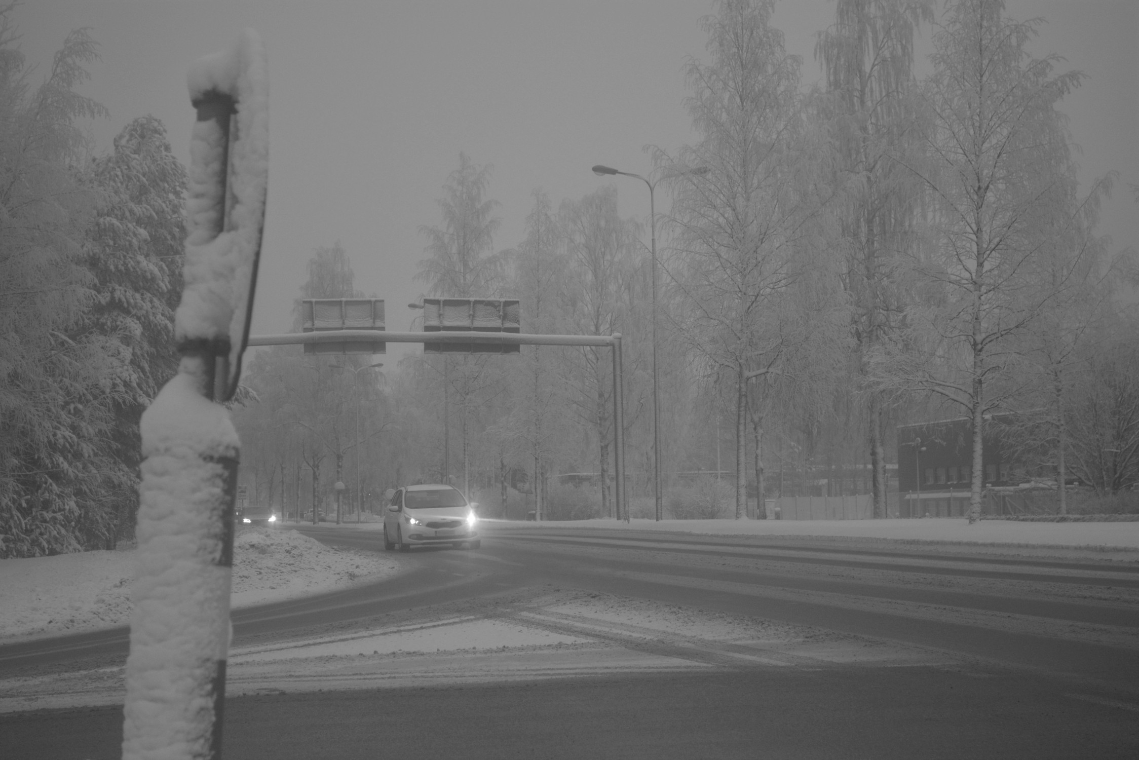 DSC_6736.jpg