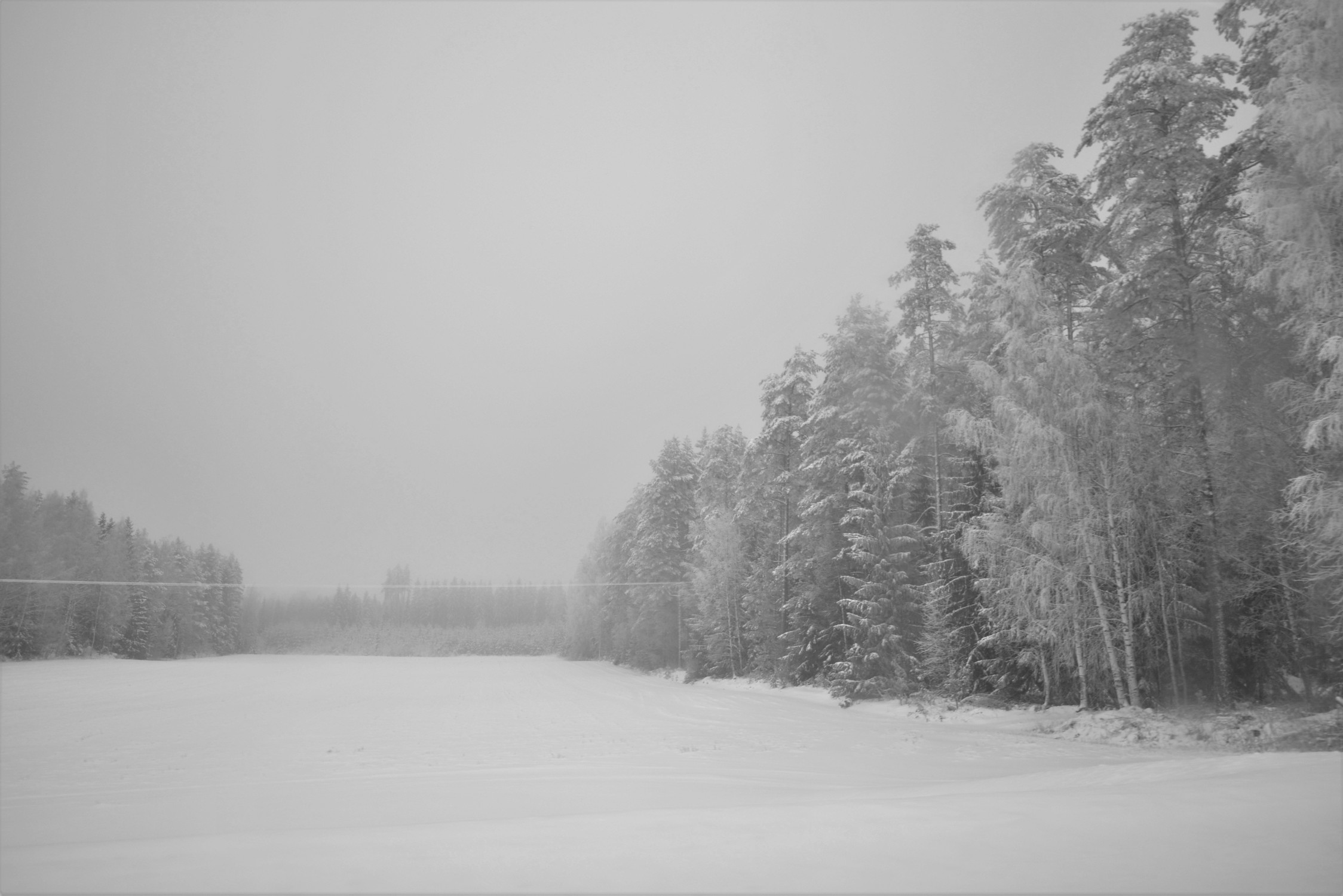 DSC_6714.jpg