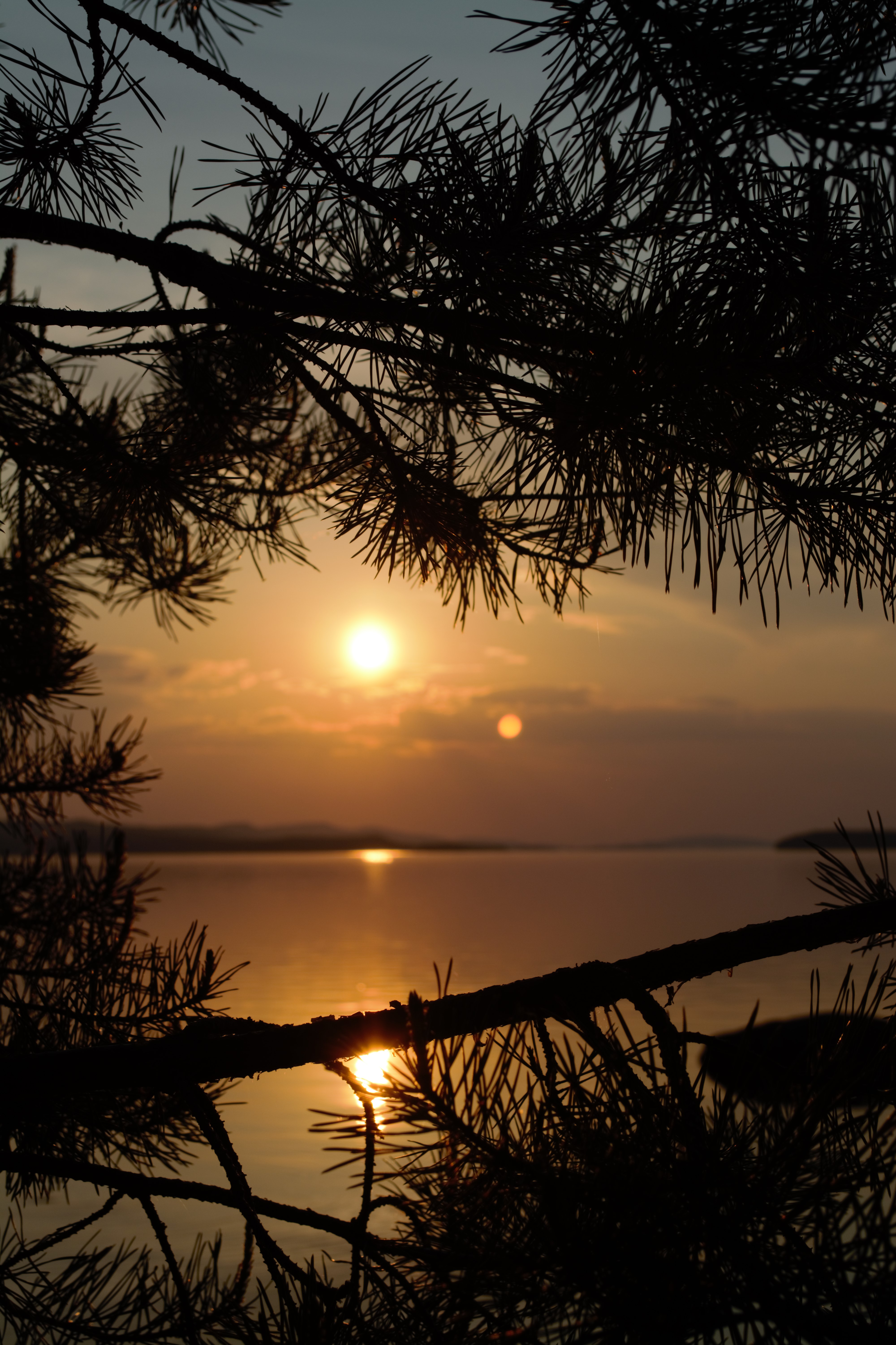 DSC_1137 2.jpg