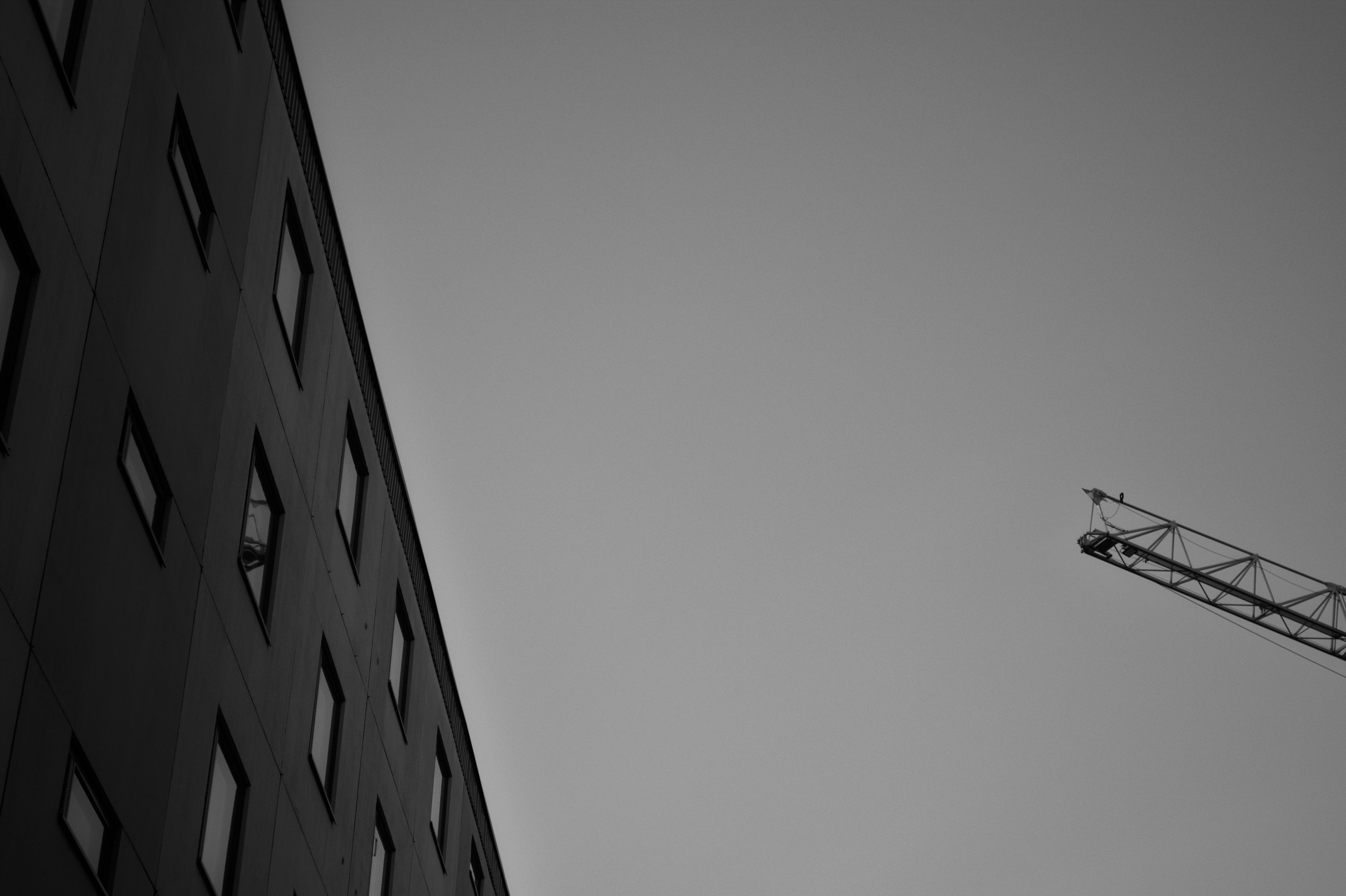DSC_0417_01 Custom.jpg
