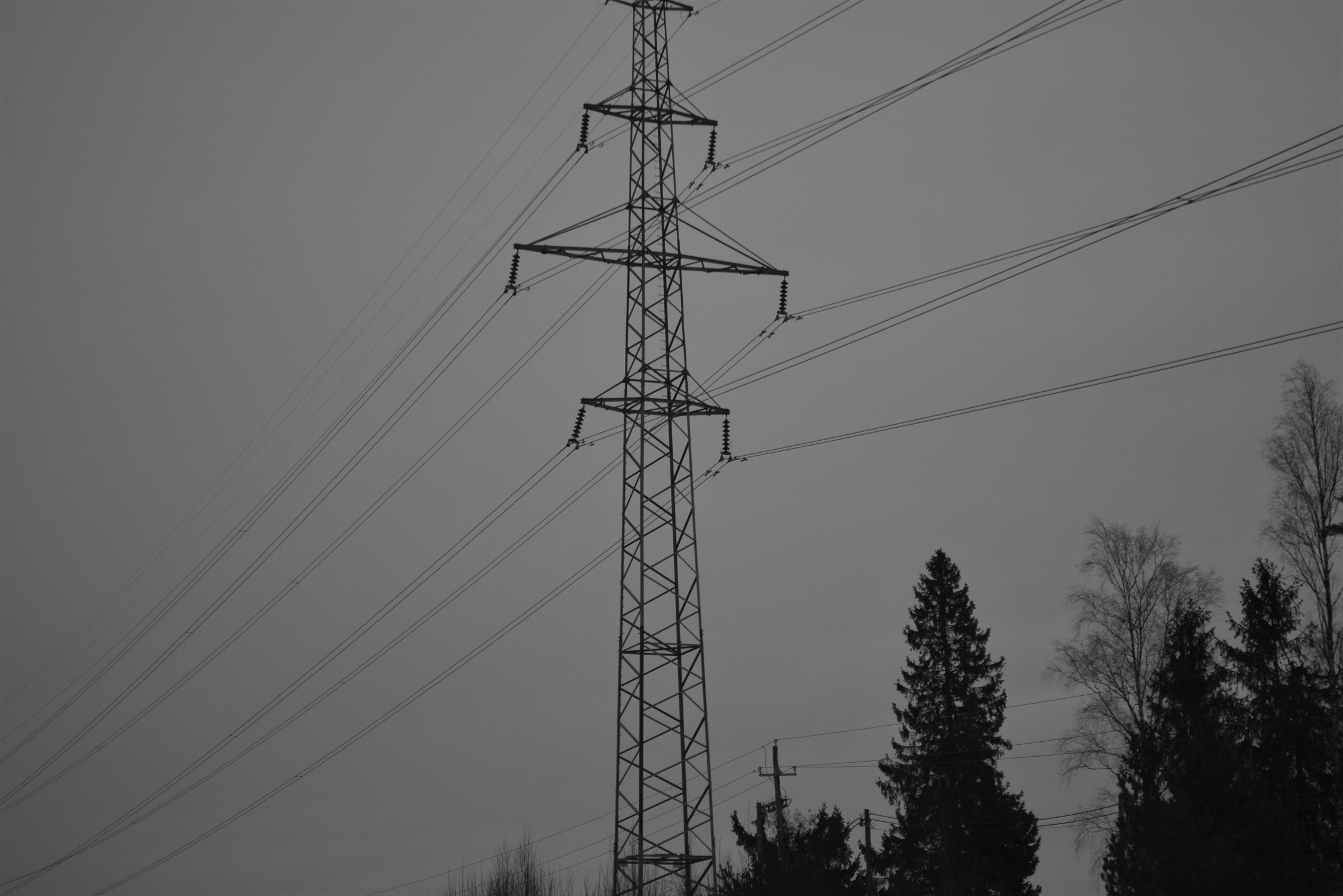 DSC_6380.jpg