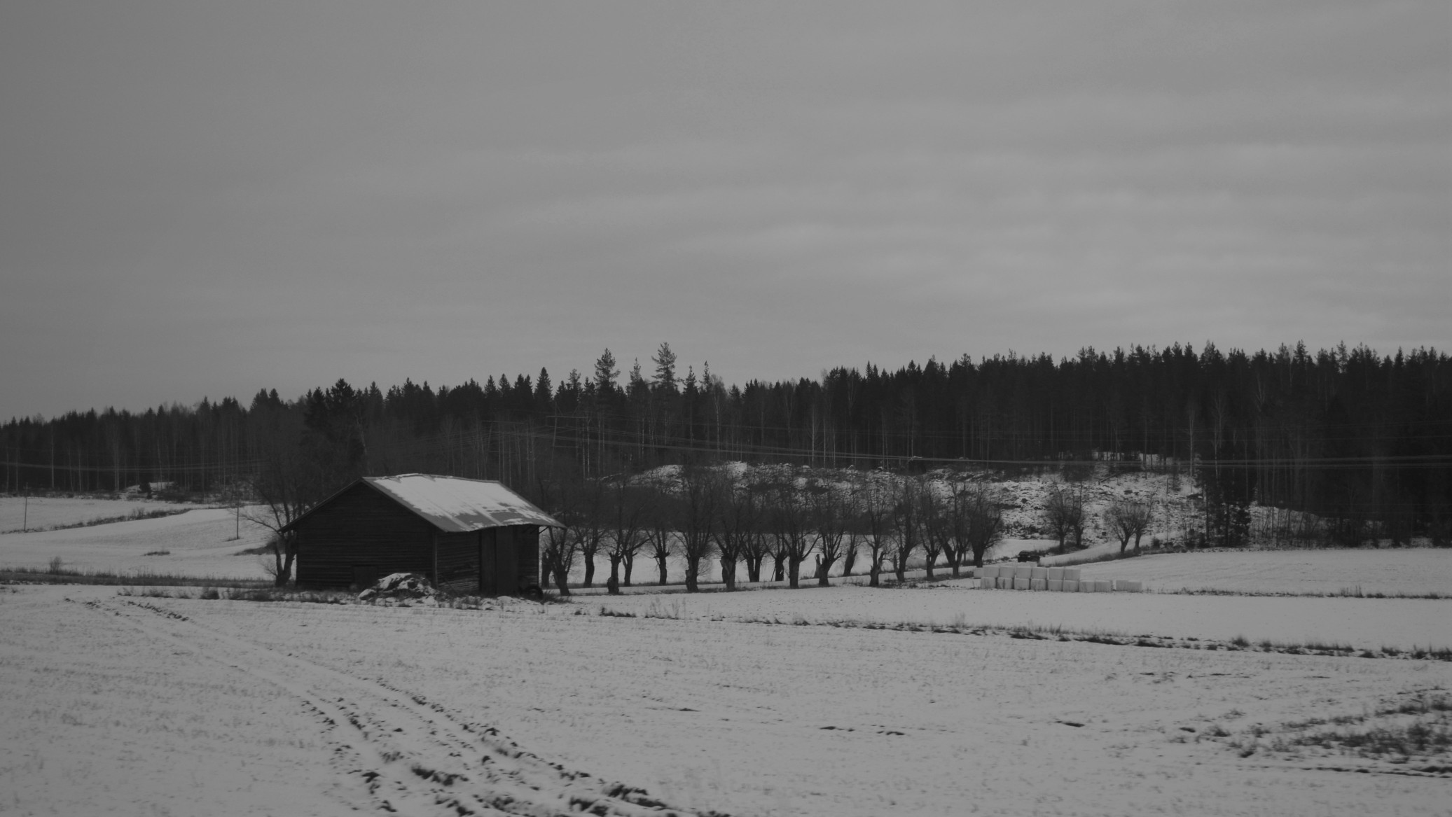 DSC_6382.jpg