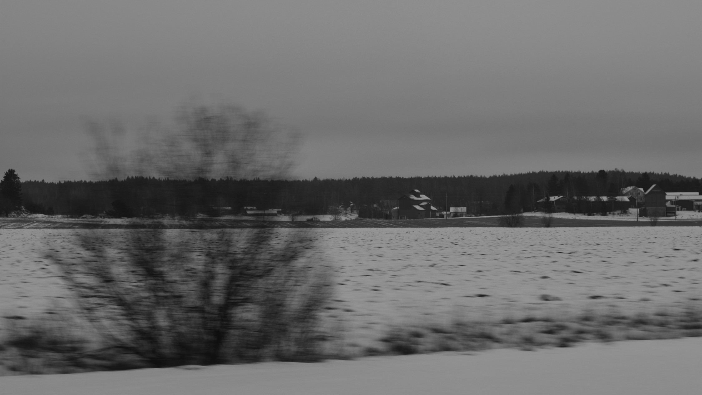 DSC_6402.jpg