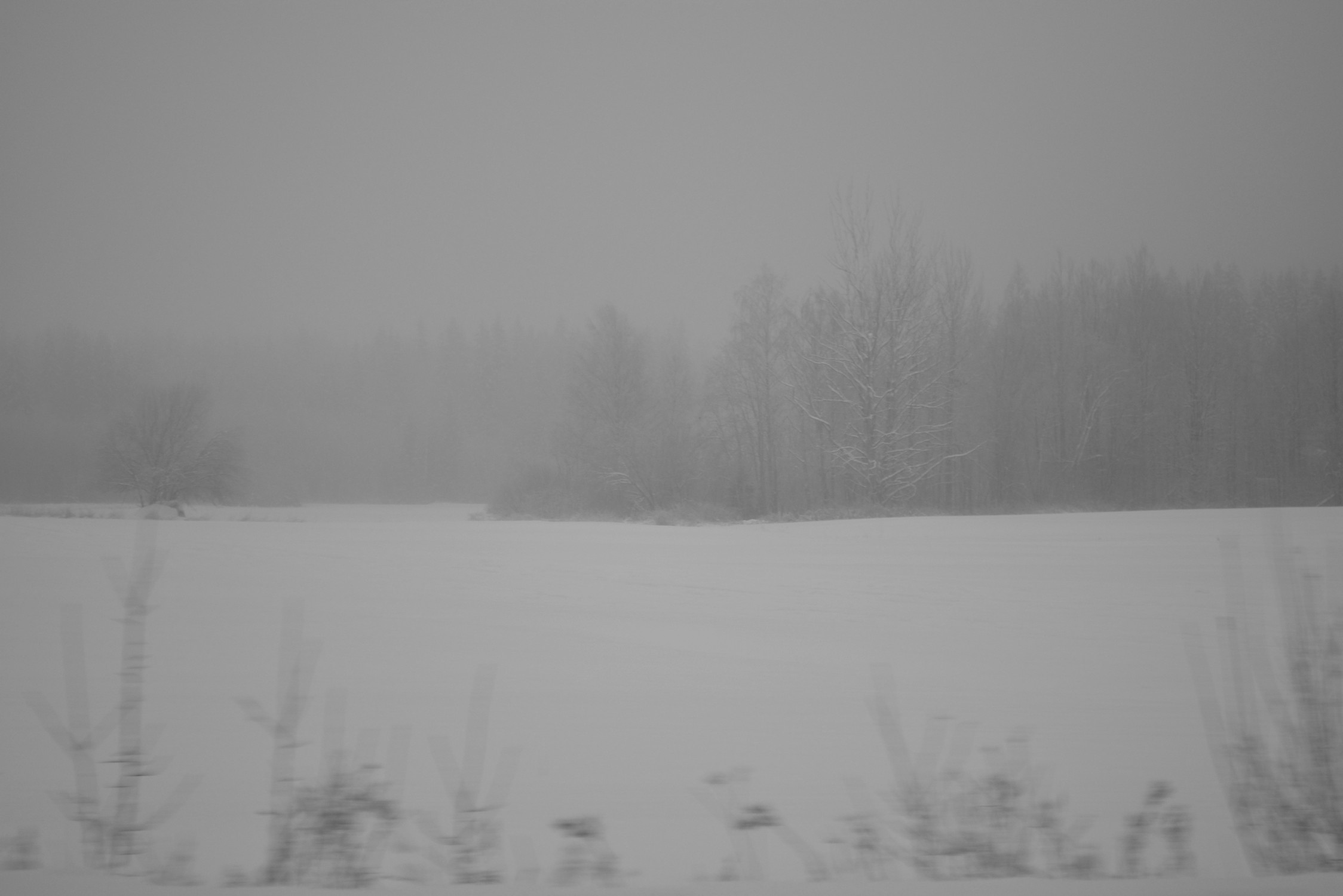 DSC_6716.jpg