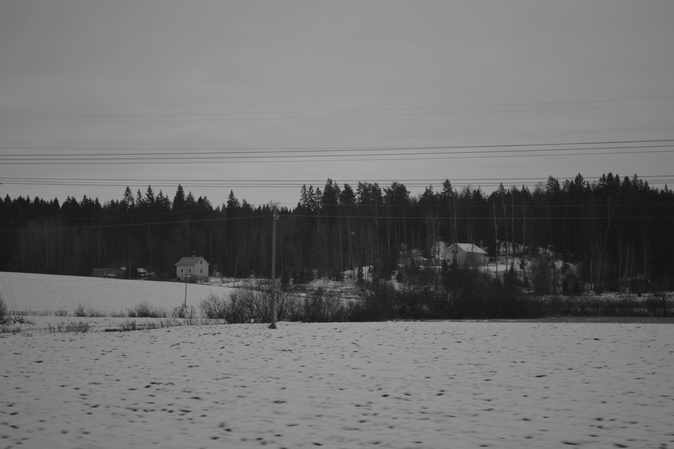 DSC_6379.jpg
