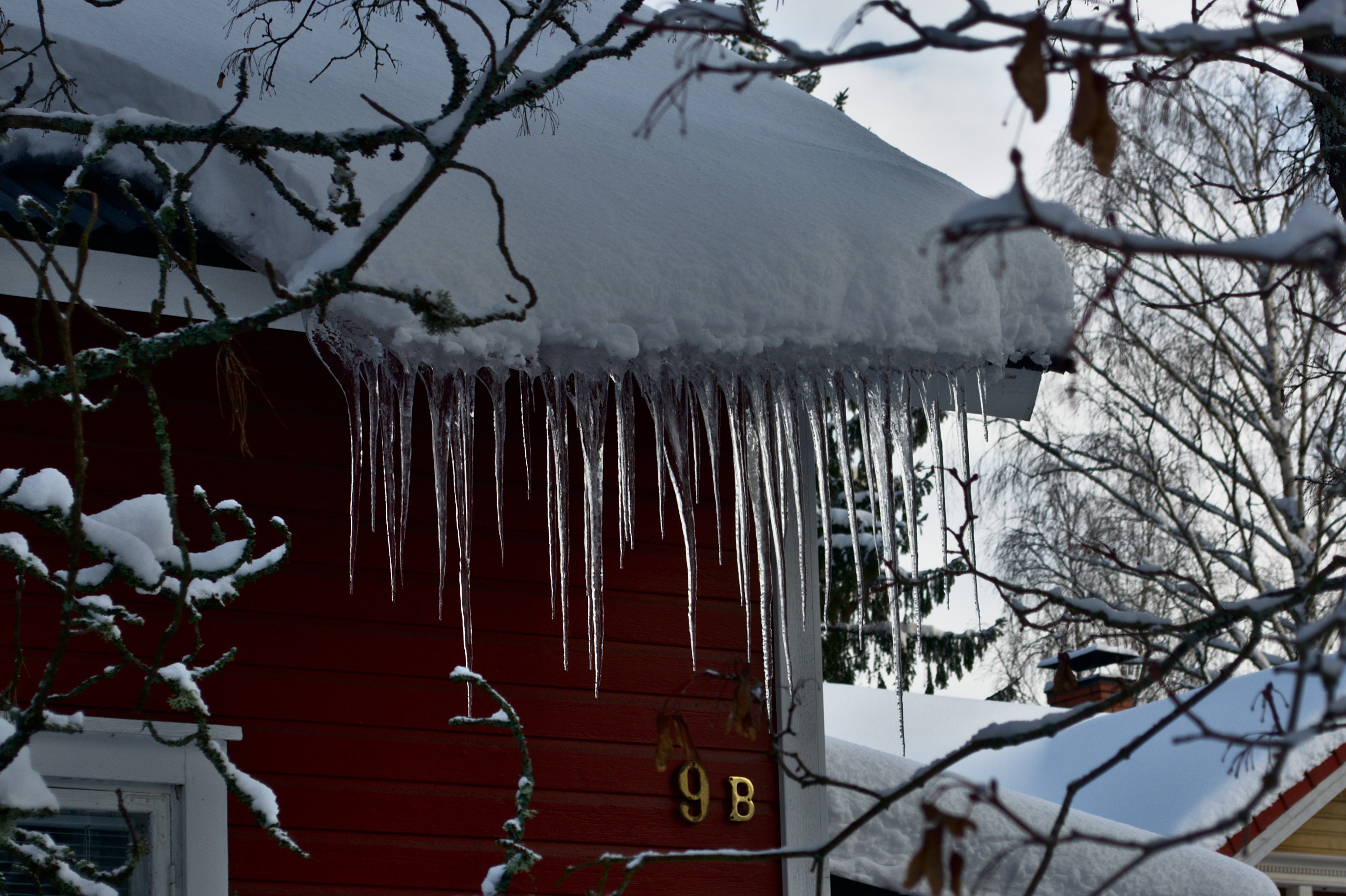 DSC_0128 Custom.jpg