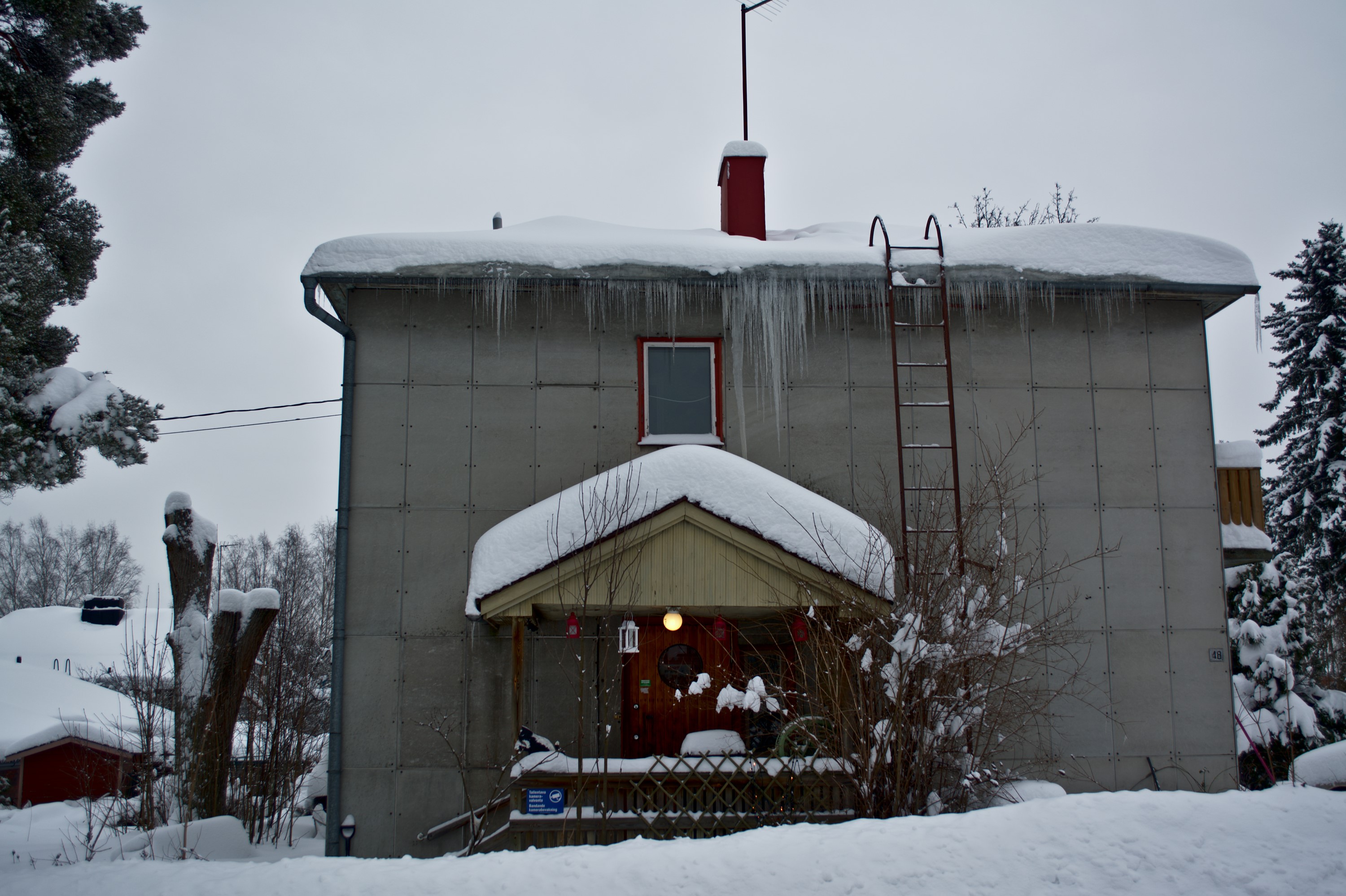 DSC_0106 Custom.jpg
