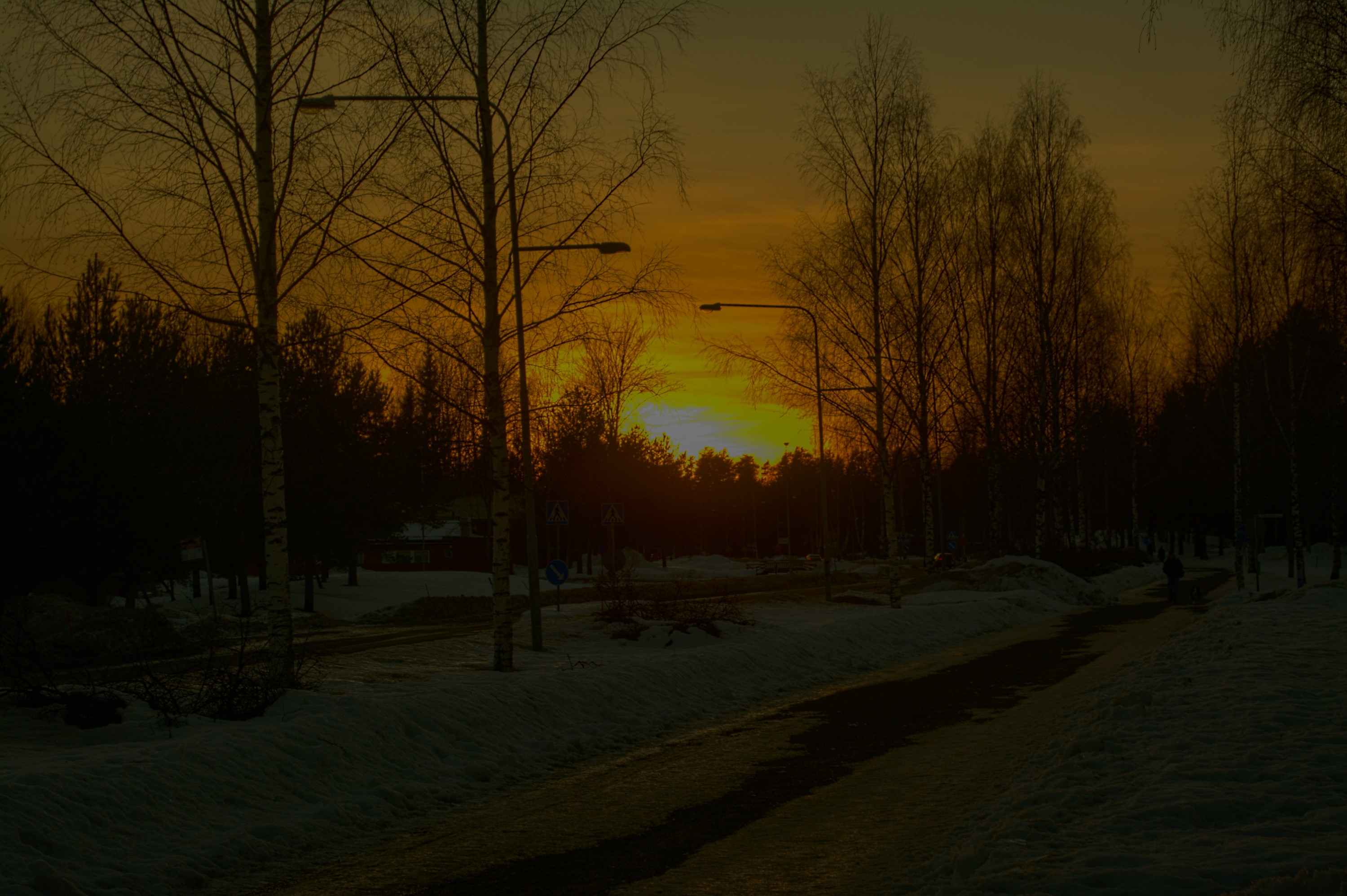 DSC_02323.jpg