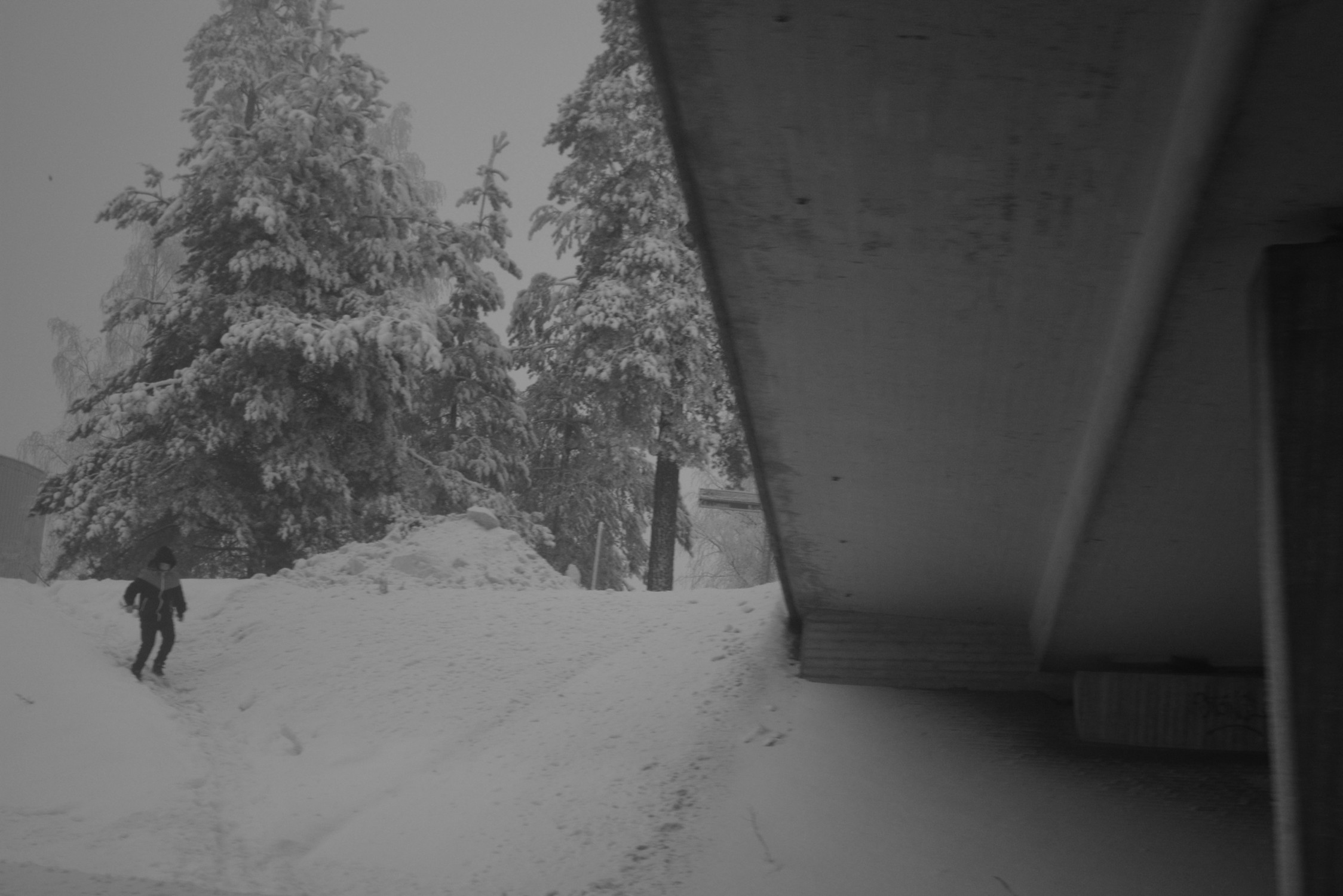 DSC_6732.jpg