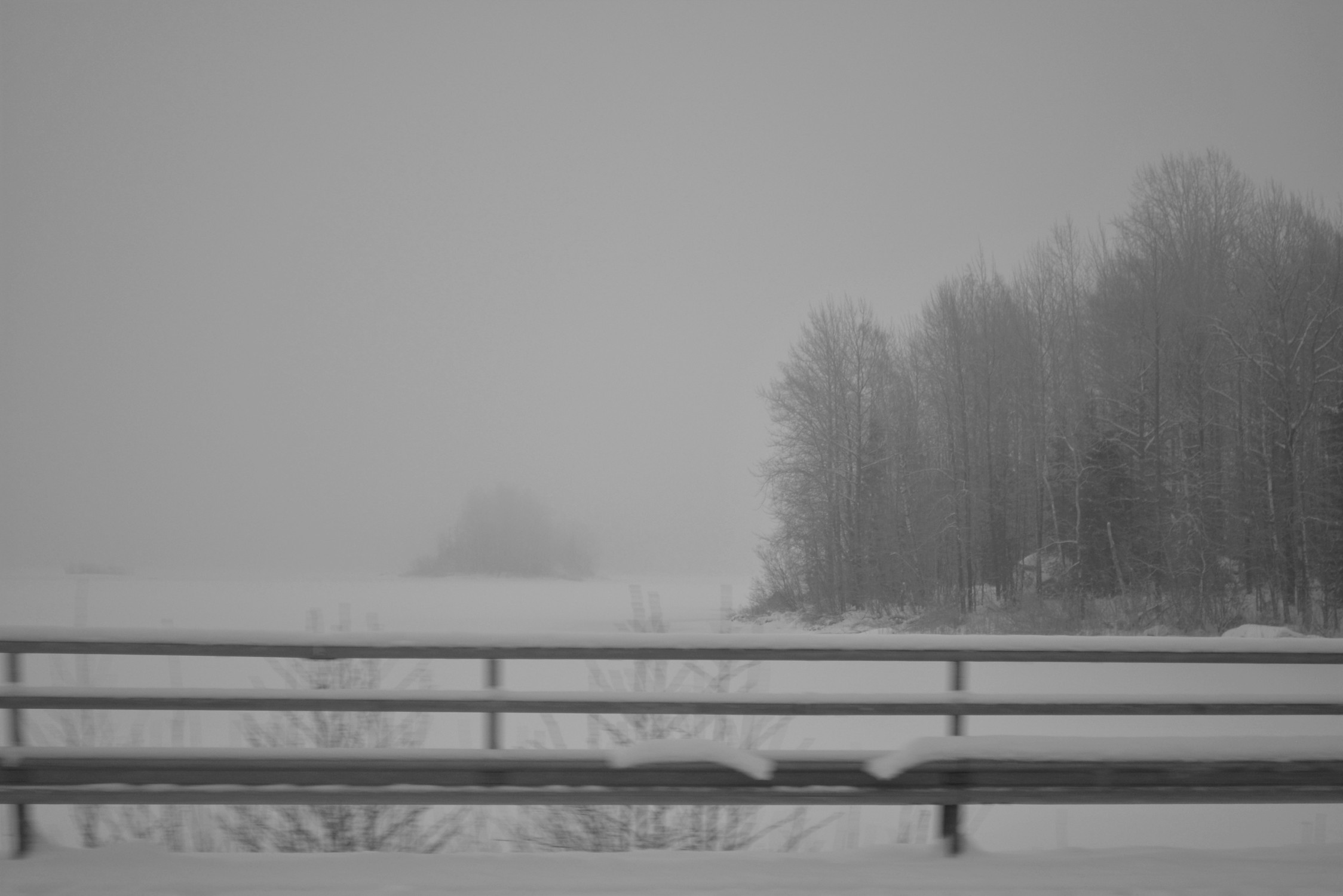 DSC_6726.jpg