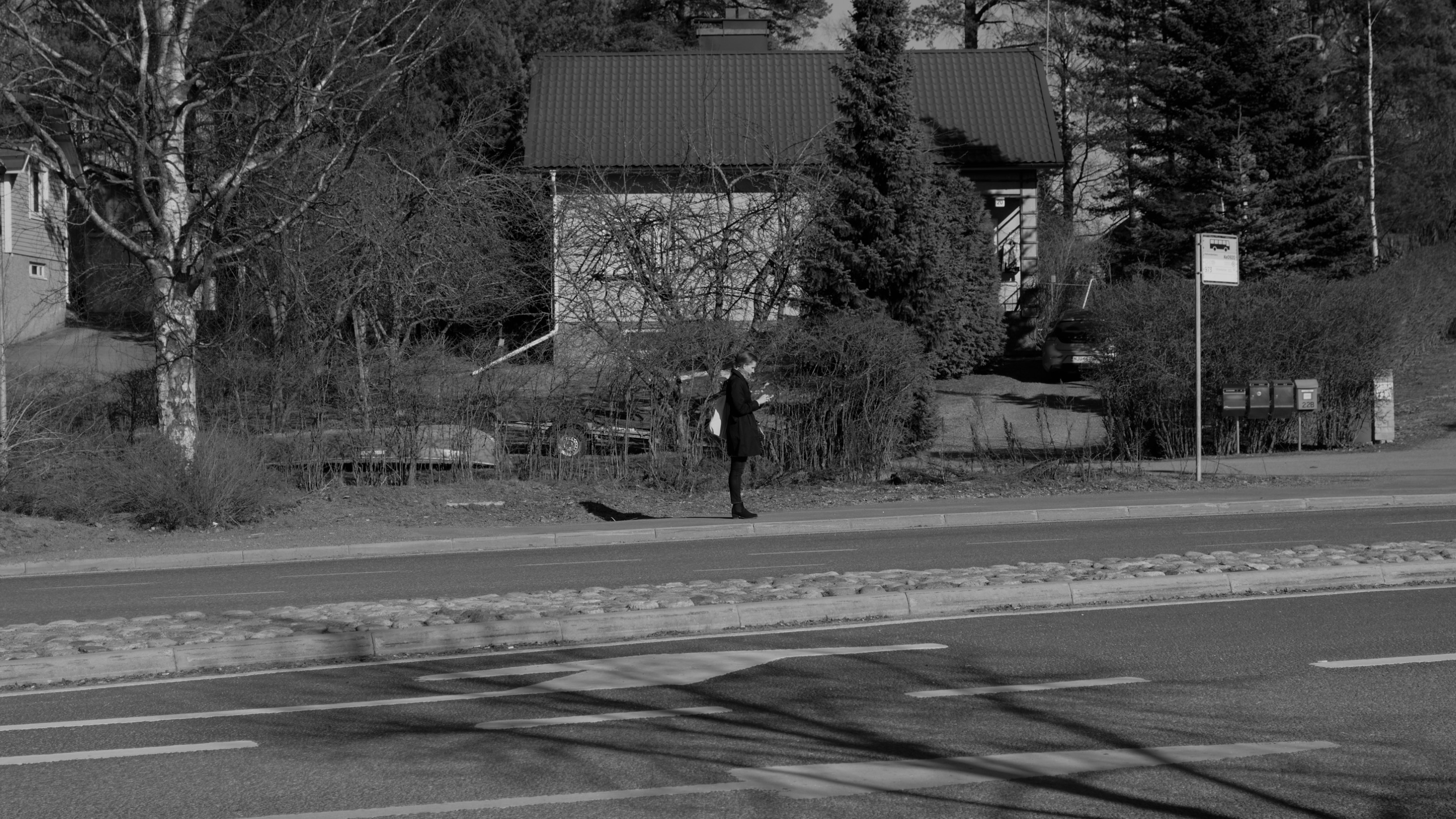 DSC_0582 Custom.jpg