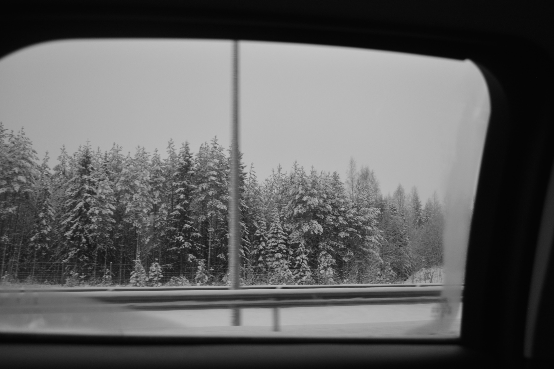 DSC_6449.jpg
