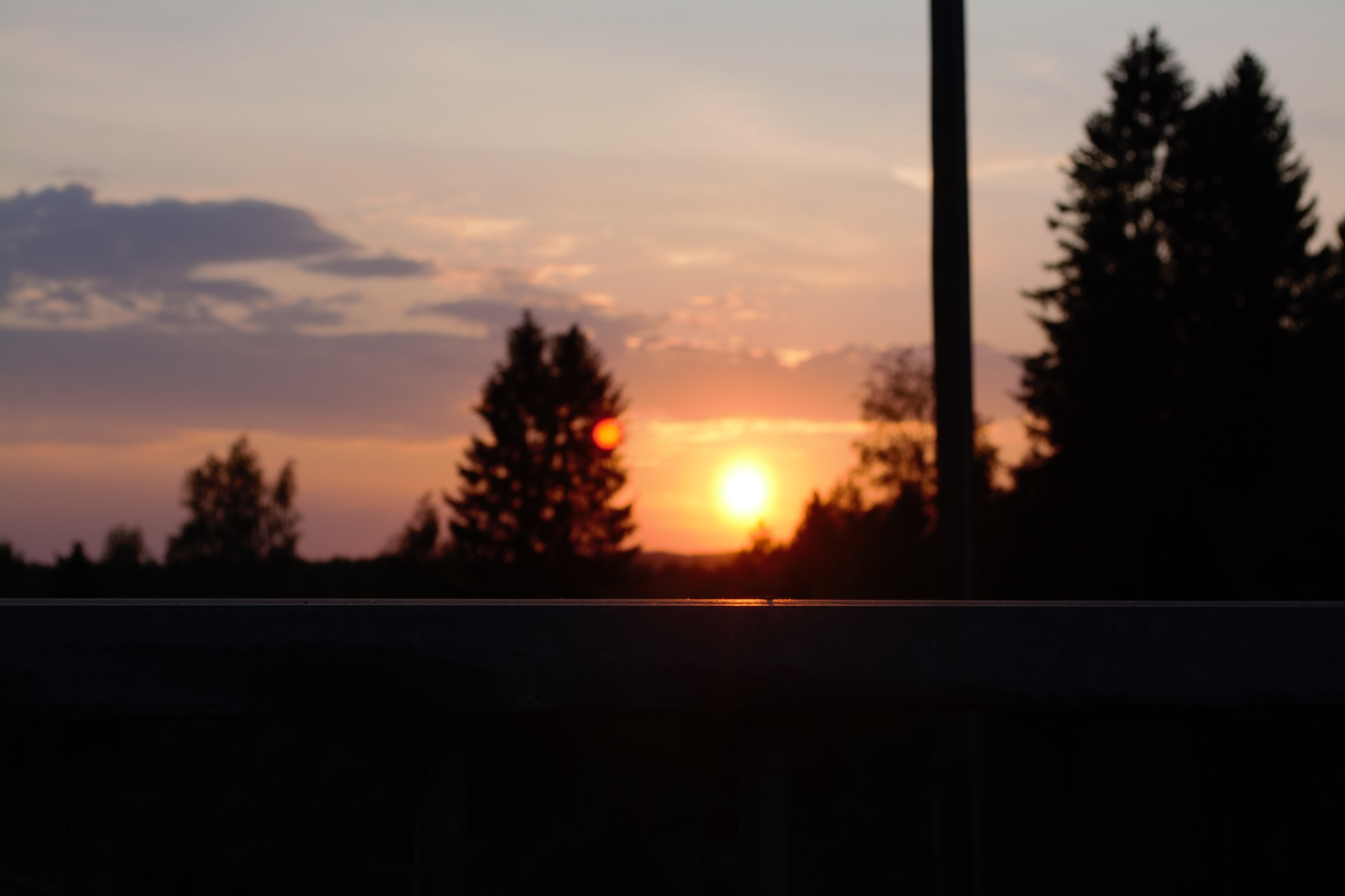 DSC_1168 2.jpg