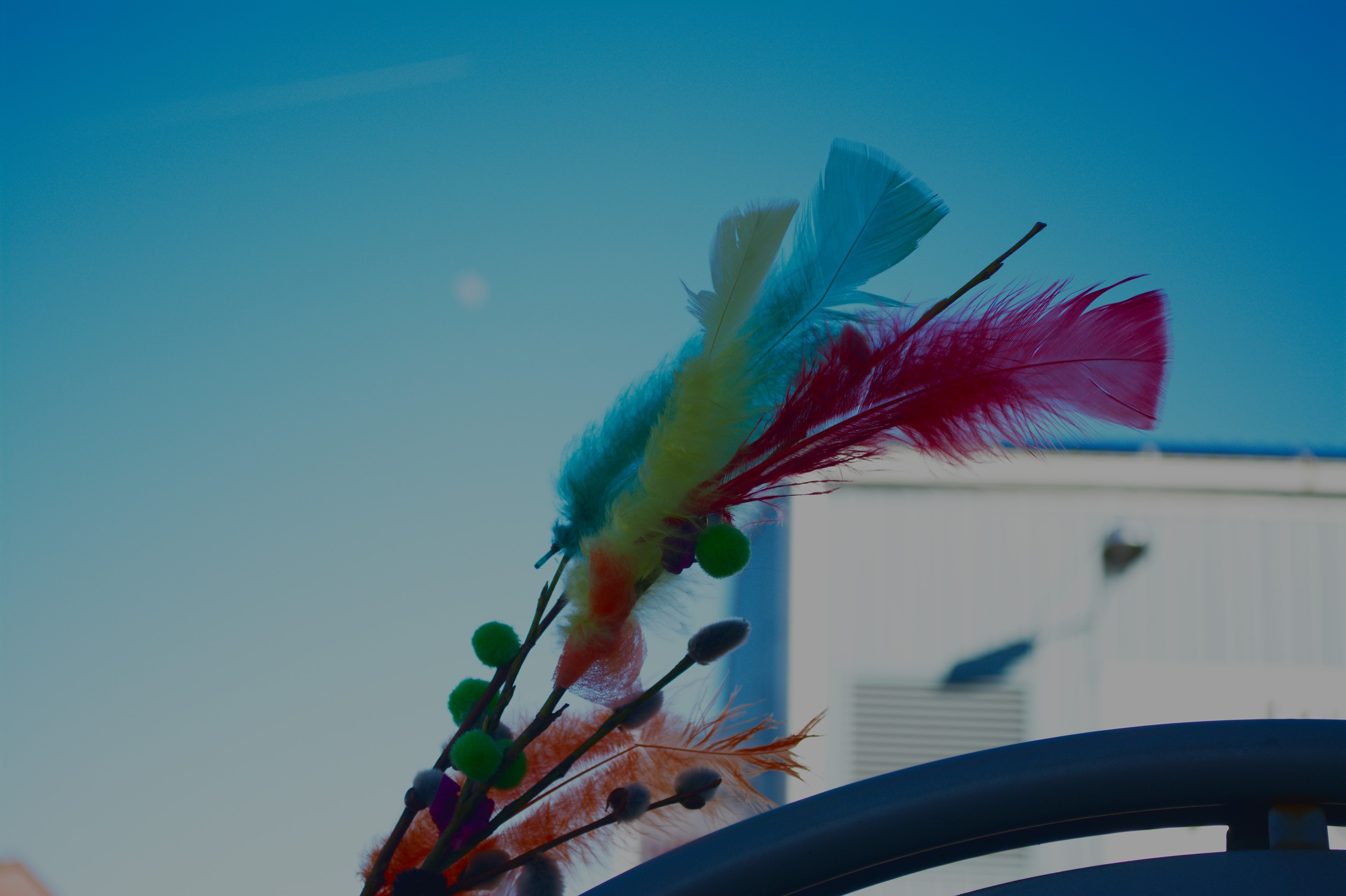 DSC_0590 Custom.jpg
