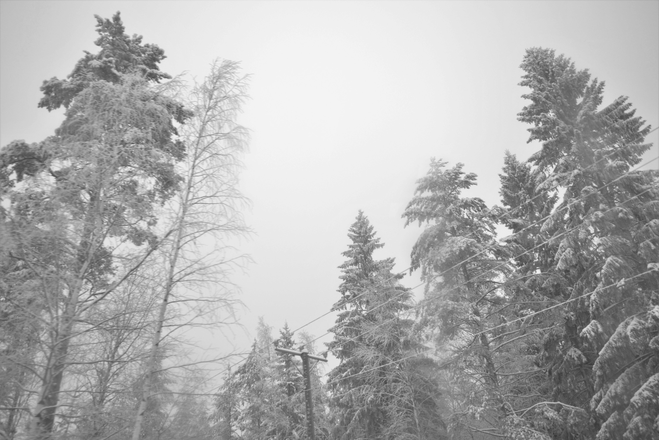 DSC_6713.jpg