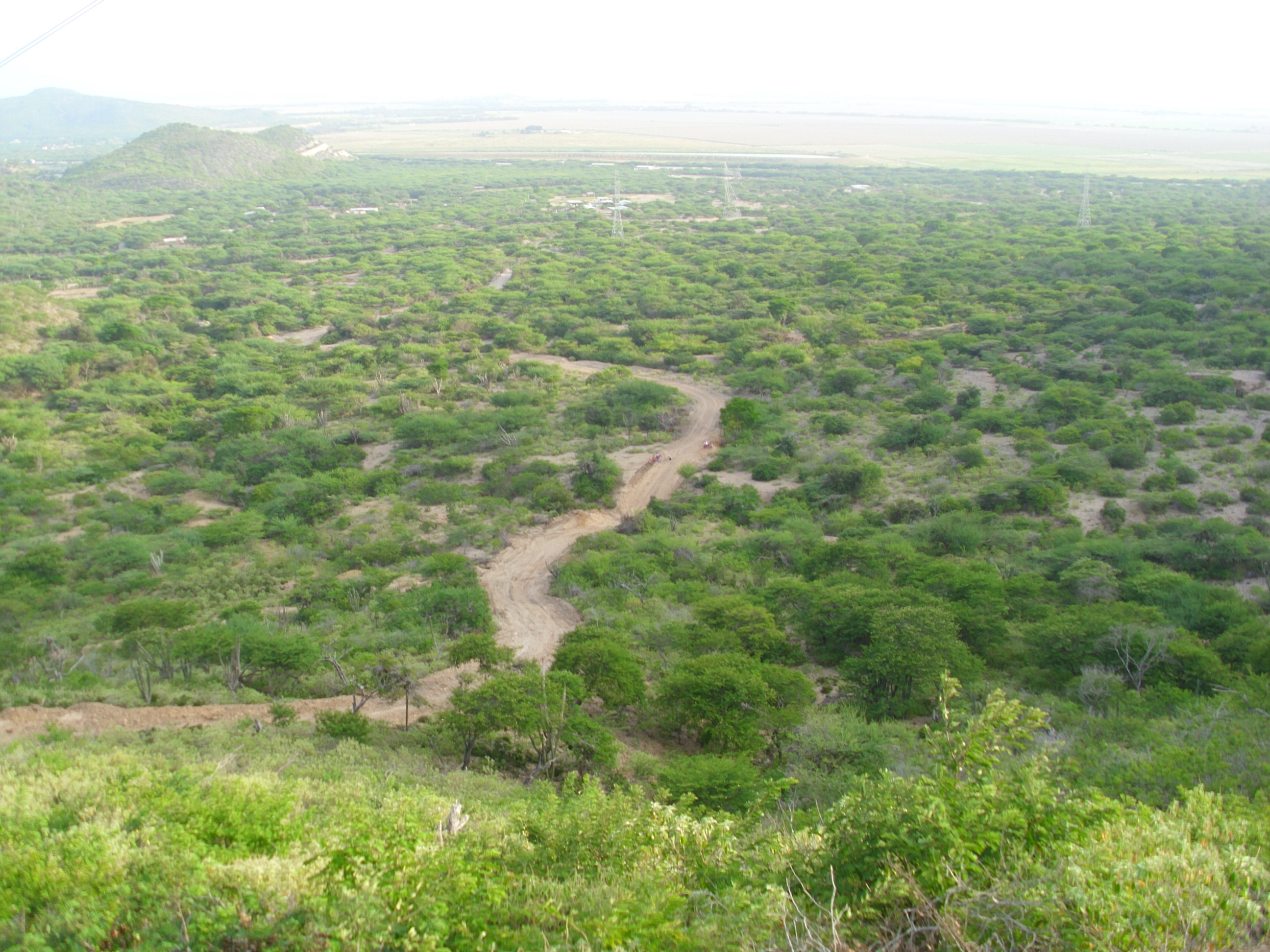 HPIM2653.JPG