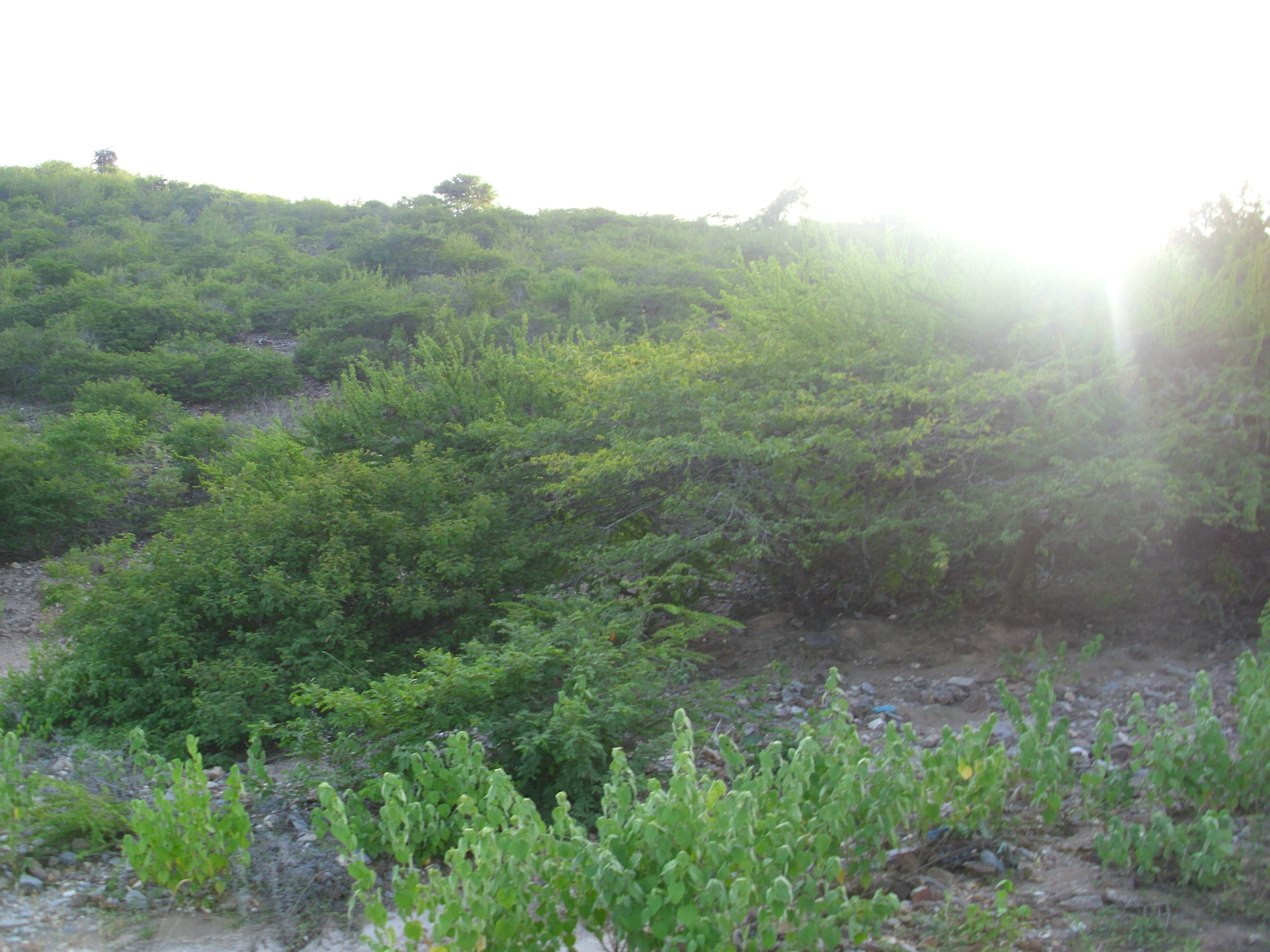 HPIM2617.JPG