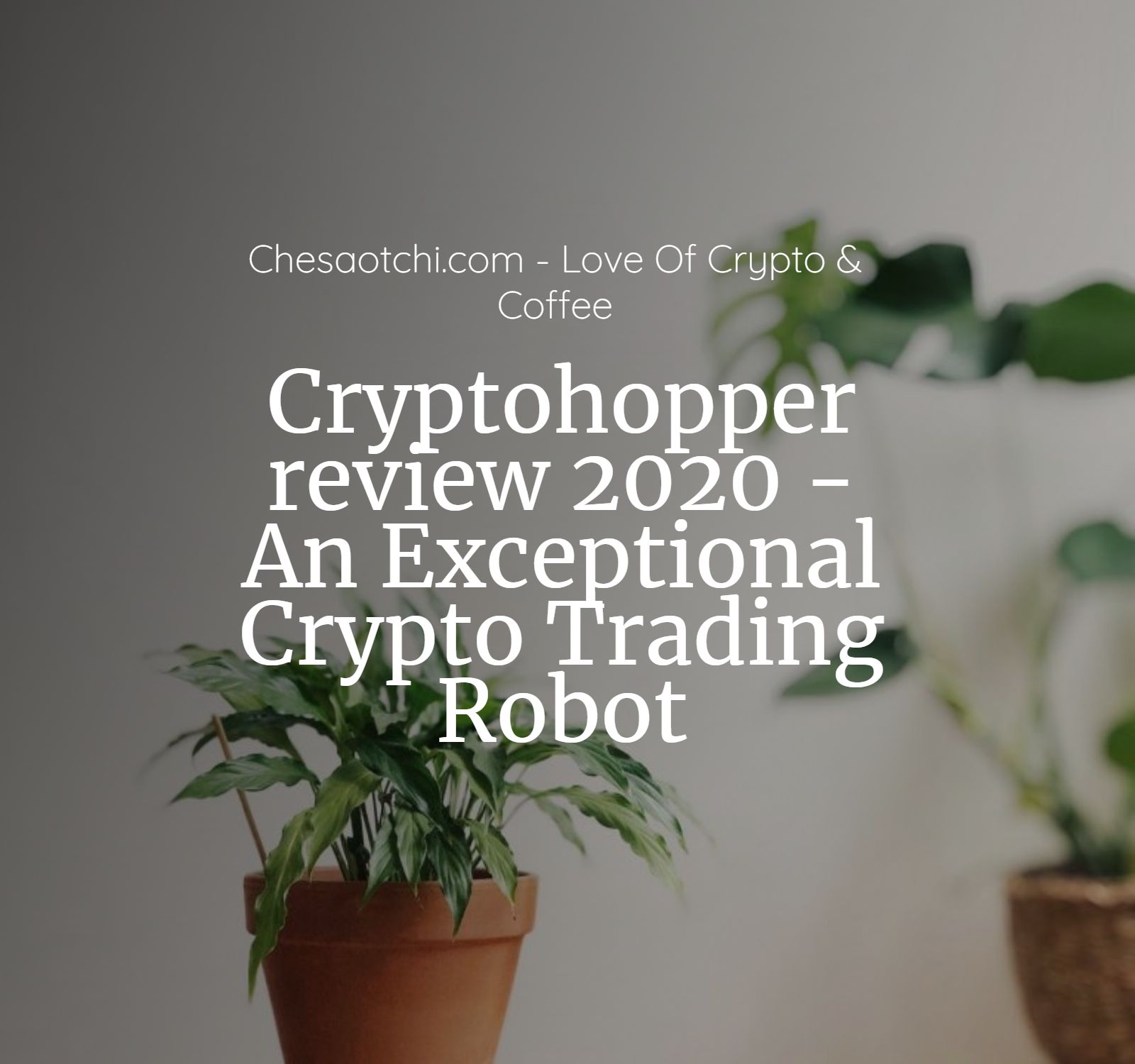 cryptohopper_review_2020_an_exceptional.jpg
