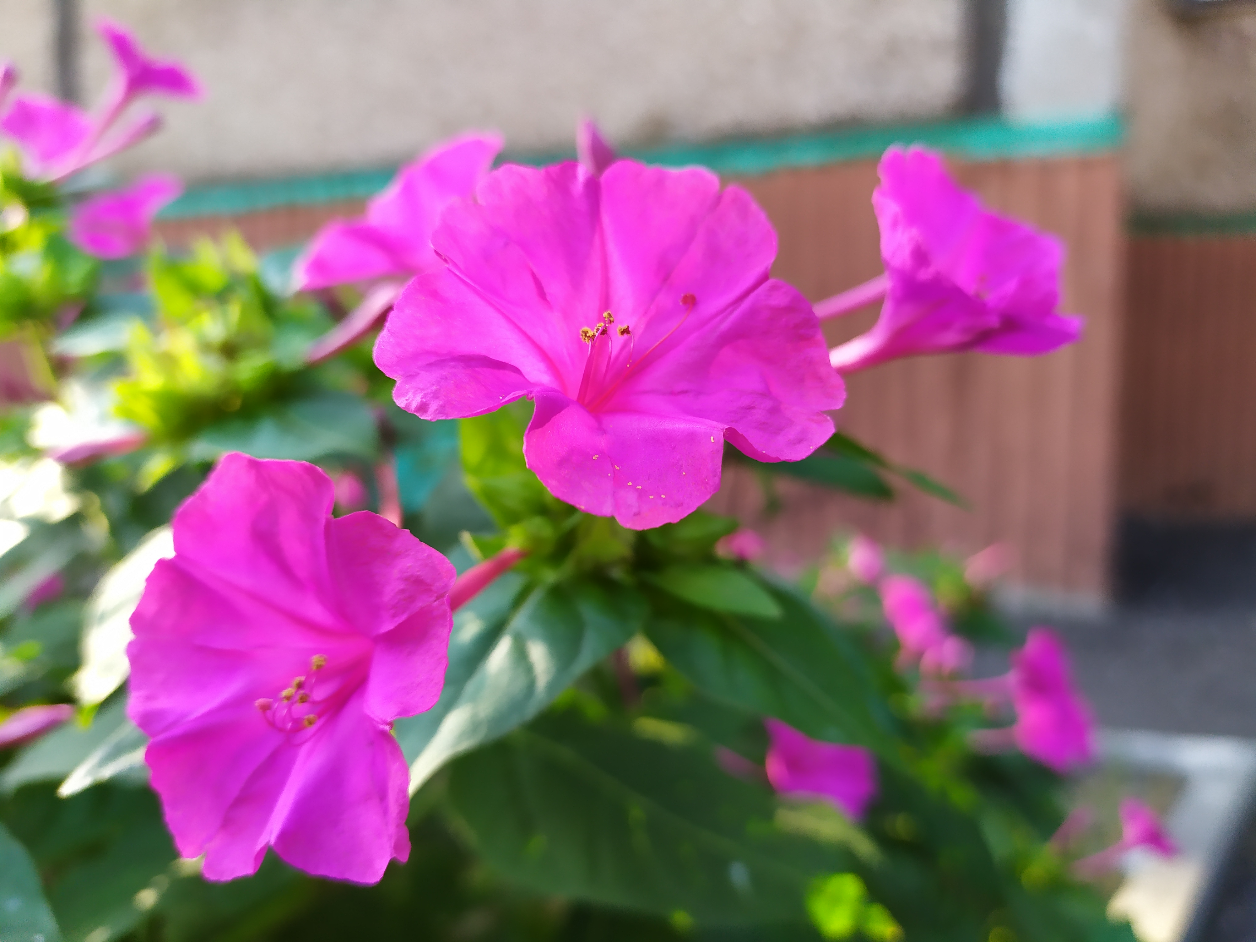 IMG_20190830_075415.jpg