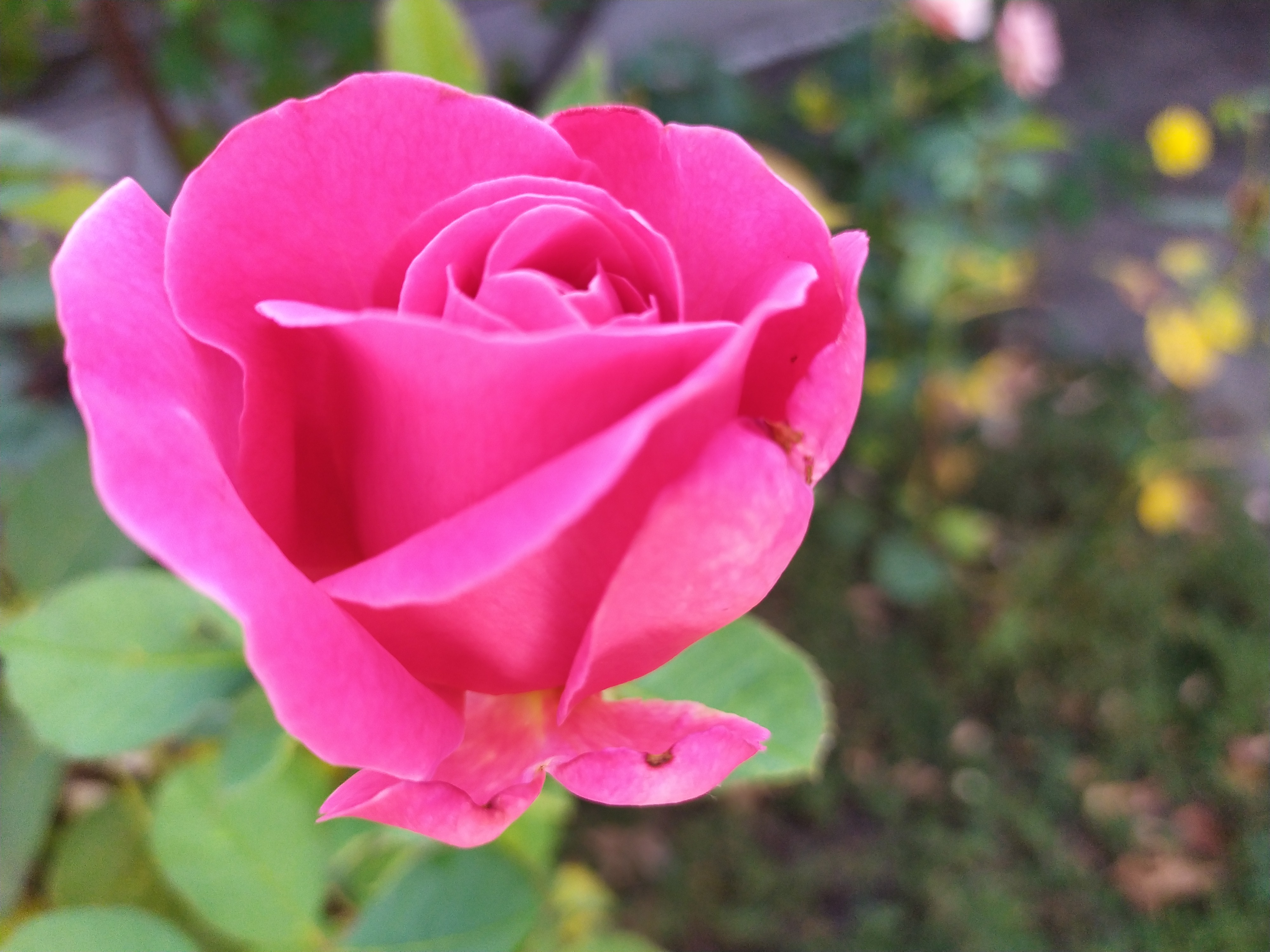 IMG_20190825_101015.jpg