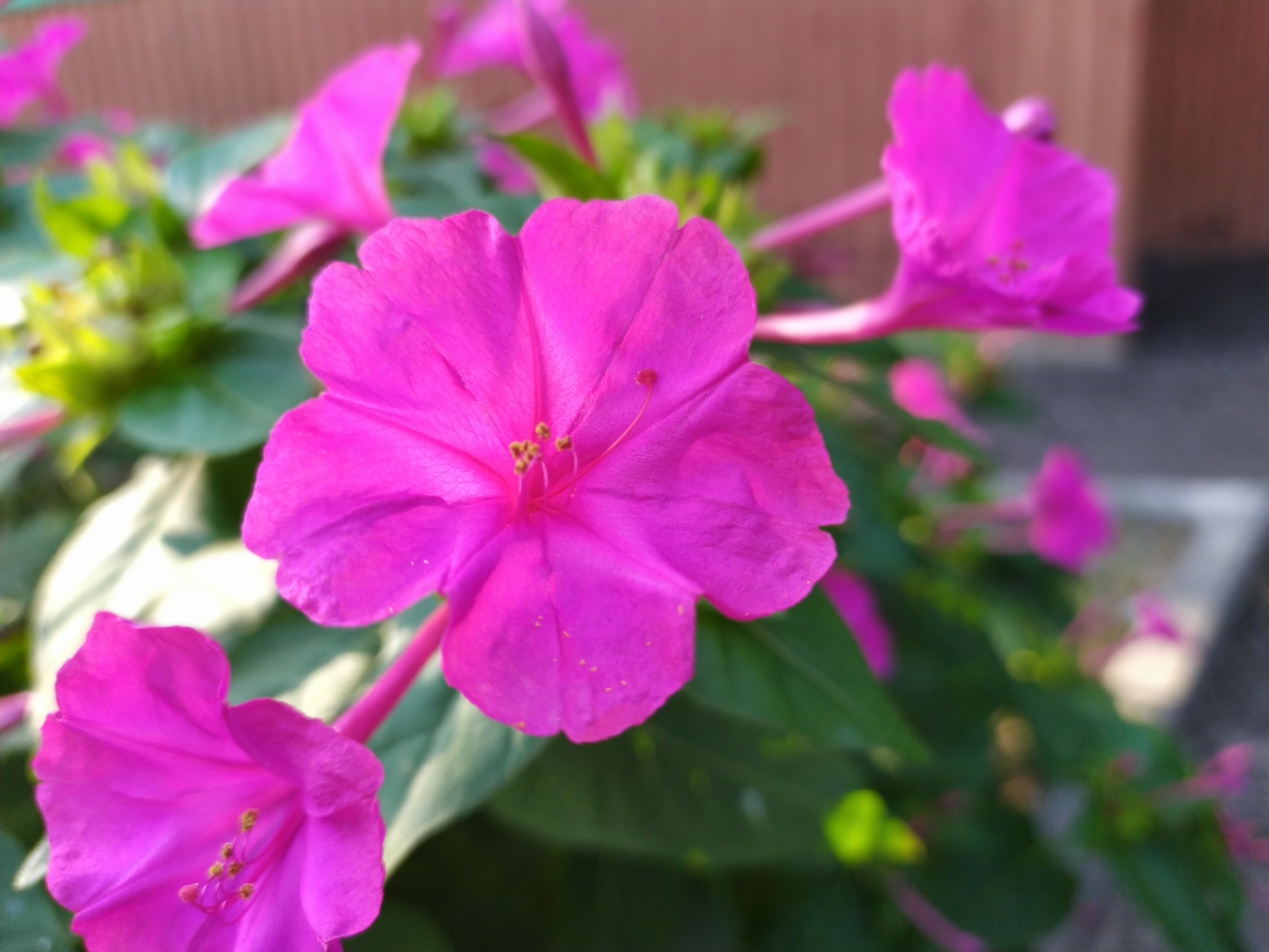 IMG_20190830_075402.jpg