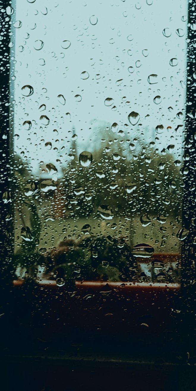 WhatsApp Image 20200402 at 3.50.25 PM.jpeg