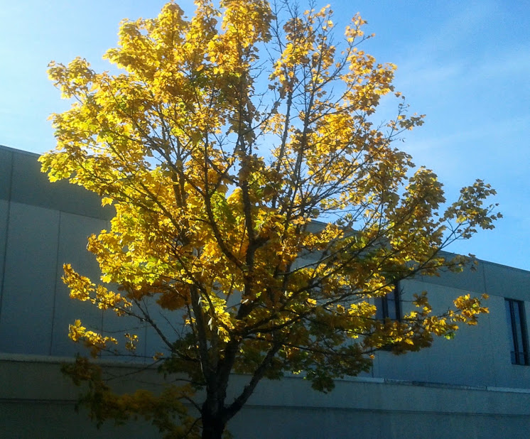 20191011_134955.jpg