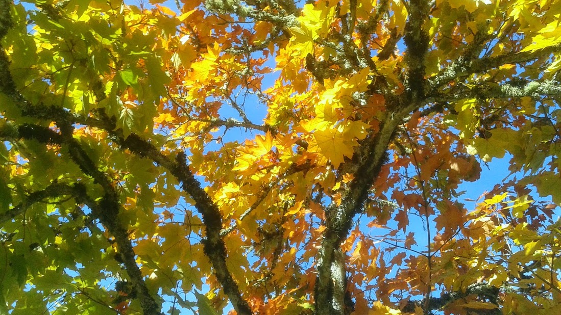 20191011_142258.jpg