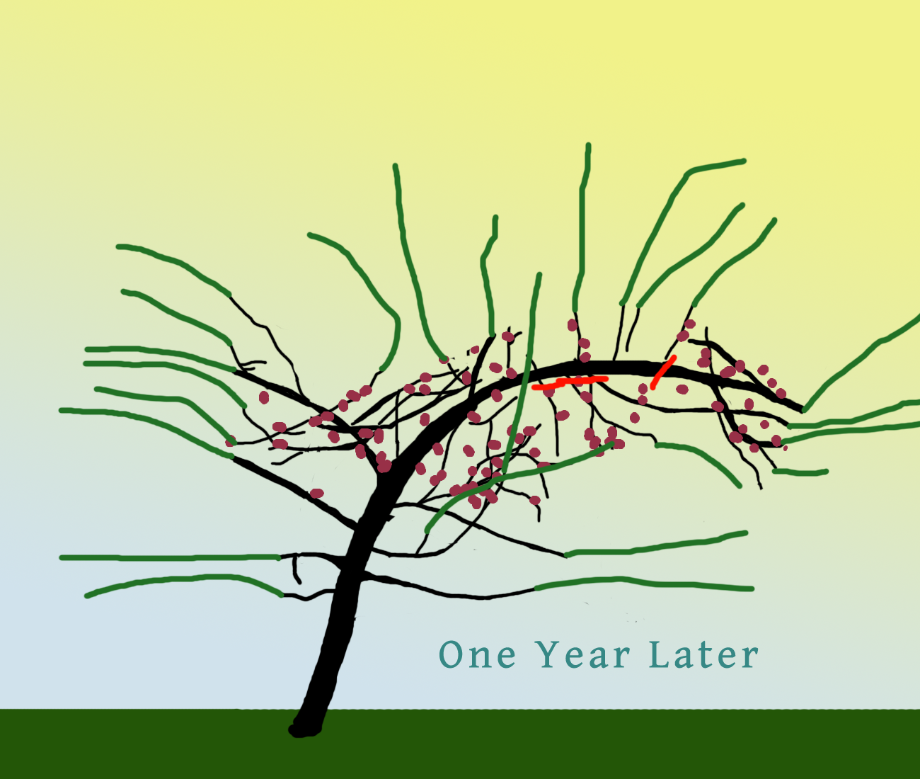 kimsappletreeyear1.png