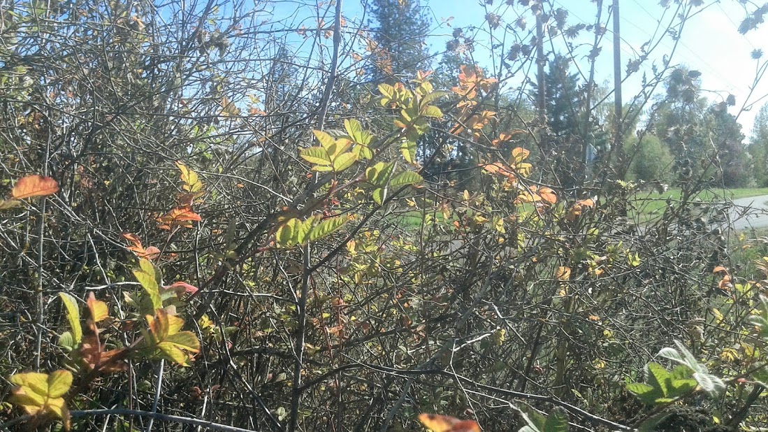 20191011_140459.jpg