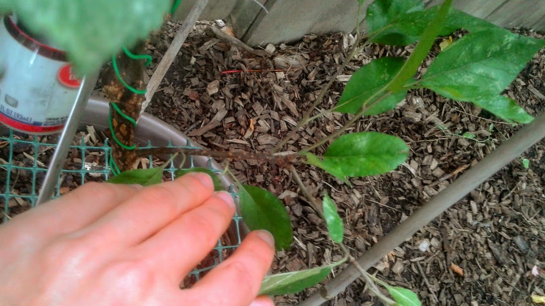 20190926_101944.jpg