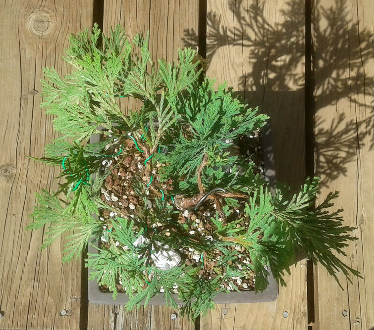 20190820_114211.jpg