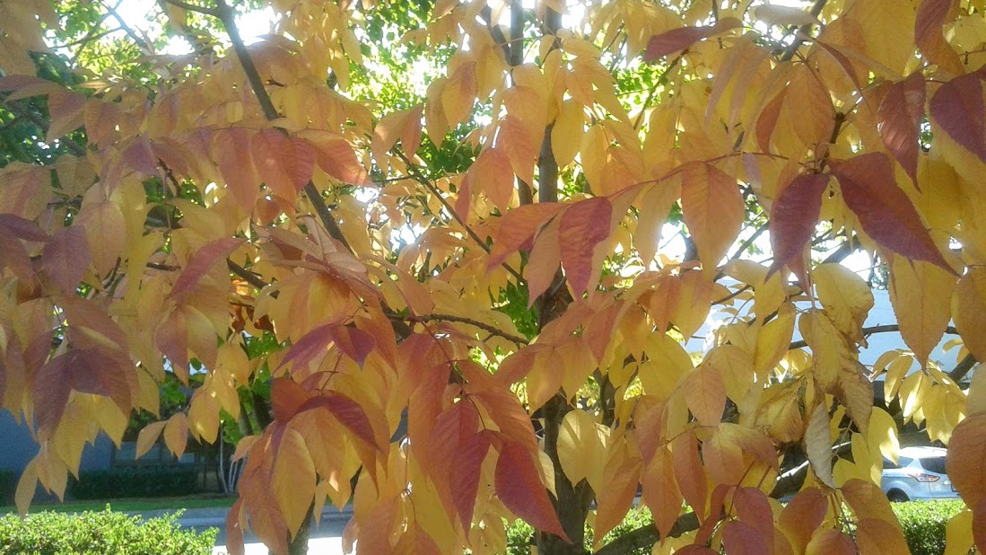 20191011_140128.jpg