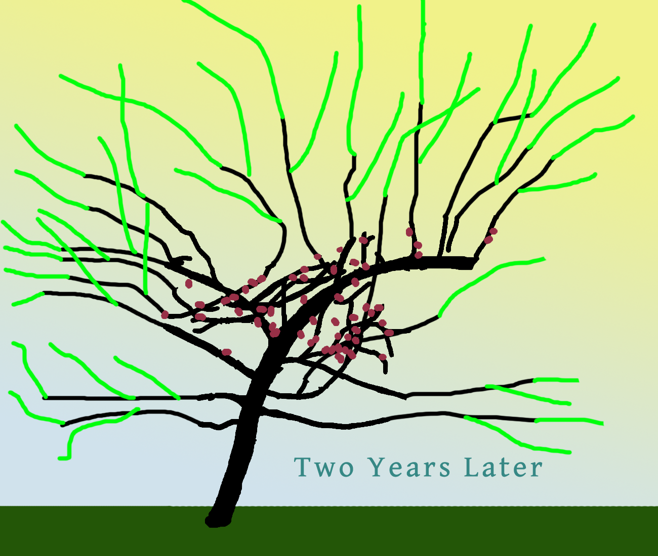 kimsappletreeyear2.png