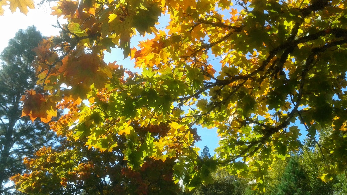 20191011_140723.jpg