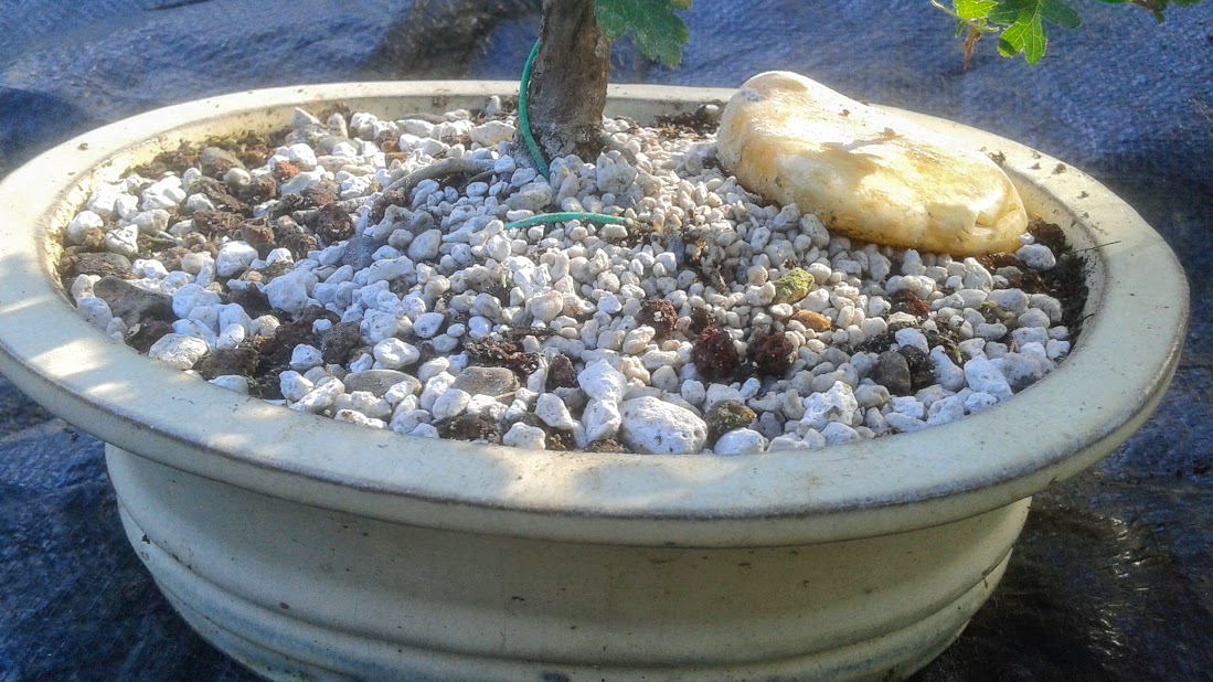 20191006_153552.jpg