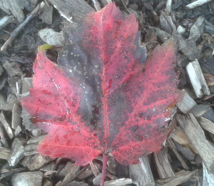 20190929_151354.jpg