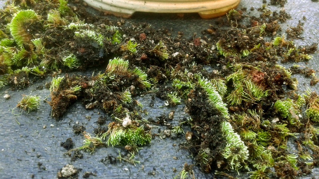 20191006_151837 1.jpg