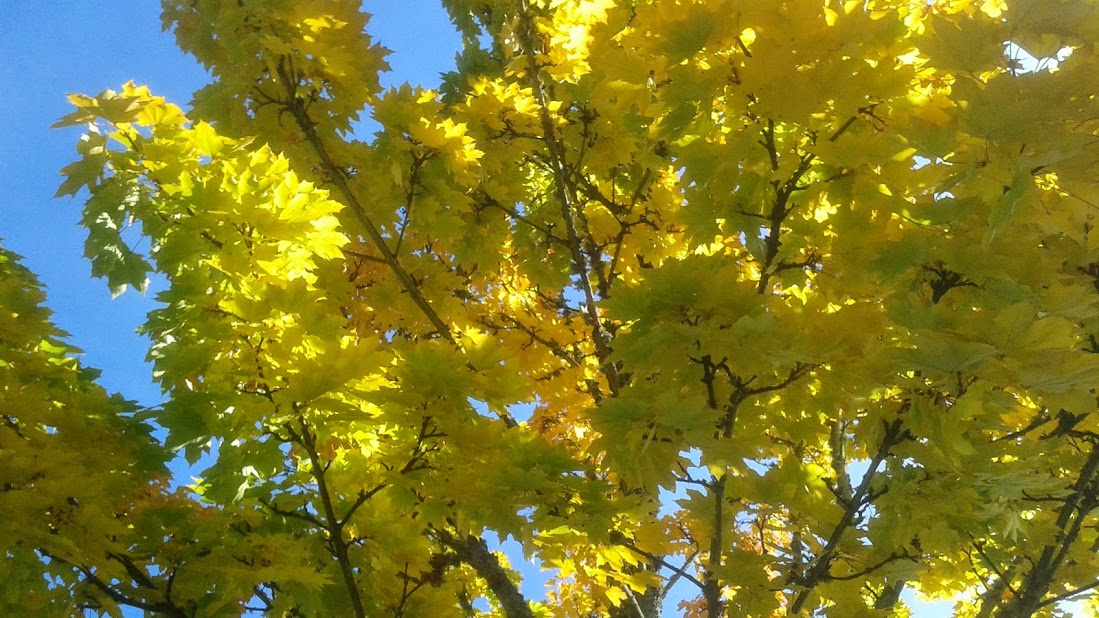 20191011_143502.jpg