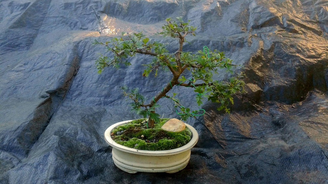 20191006_145603.jpg