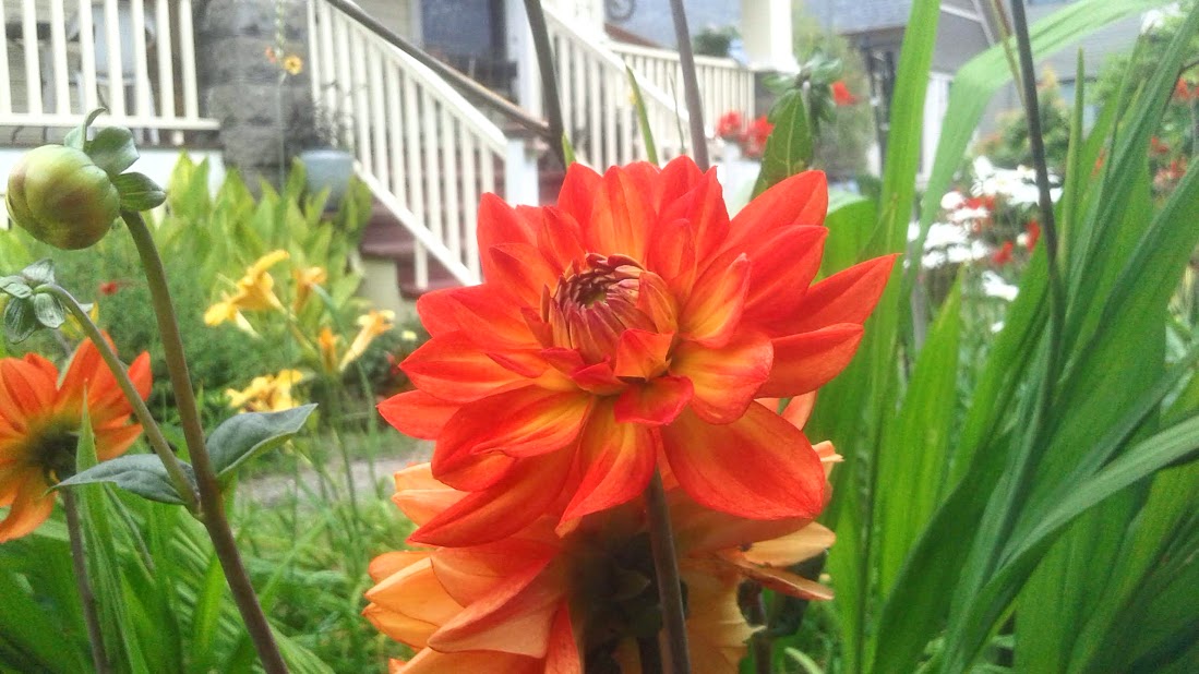20190703_133344.jpg