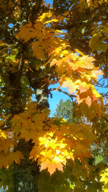 20191011_144225.jpg