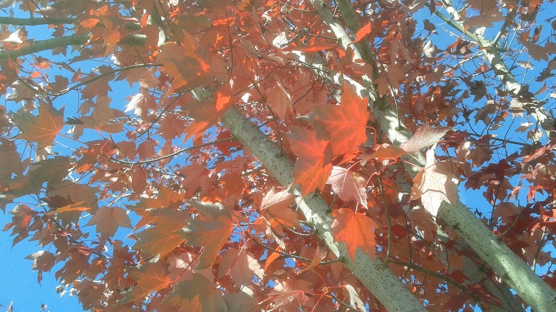 20191011_144817.jpg