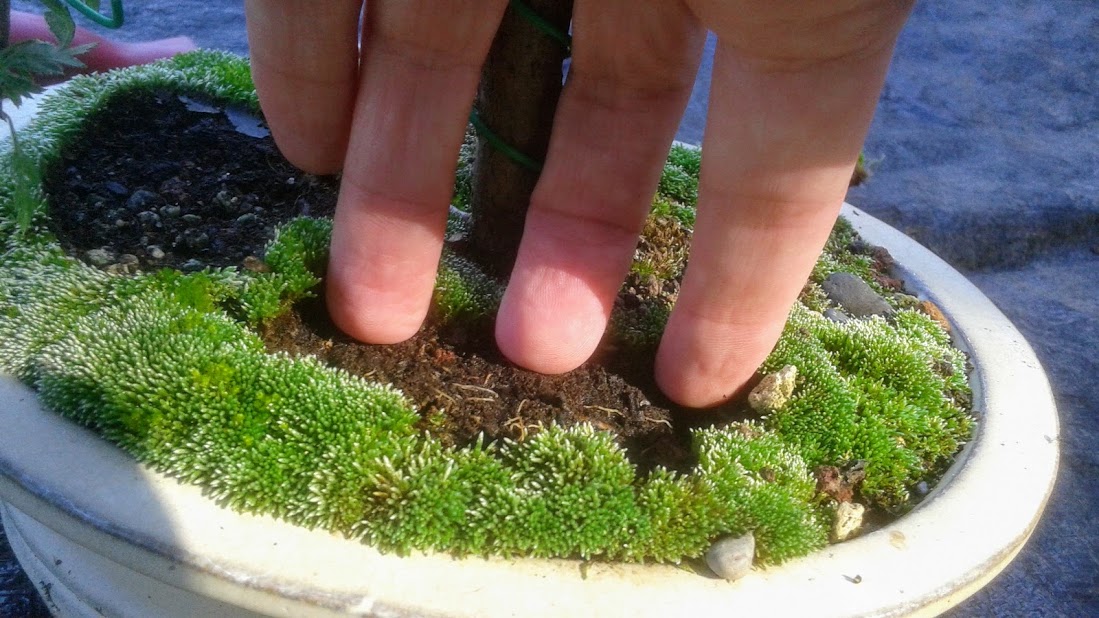 20191006_150025.jpg
