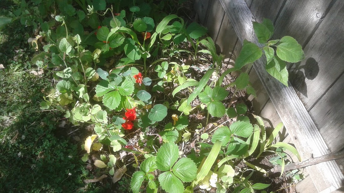20190629_161451.jpg